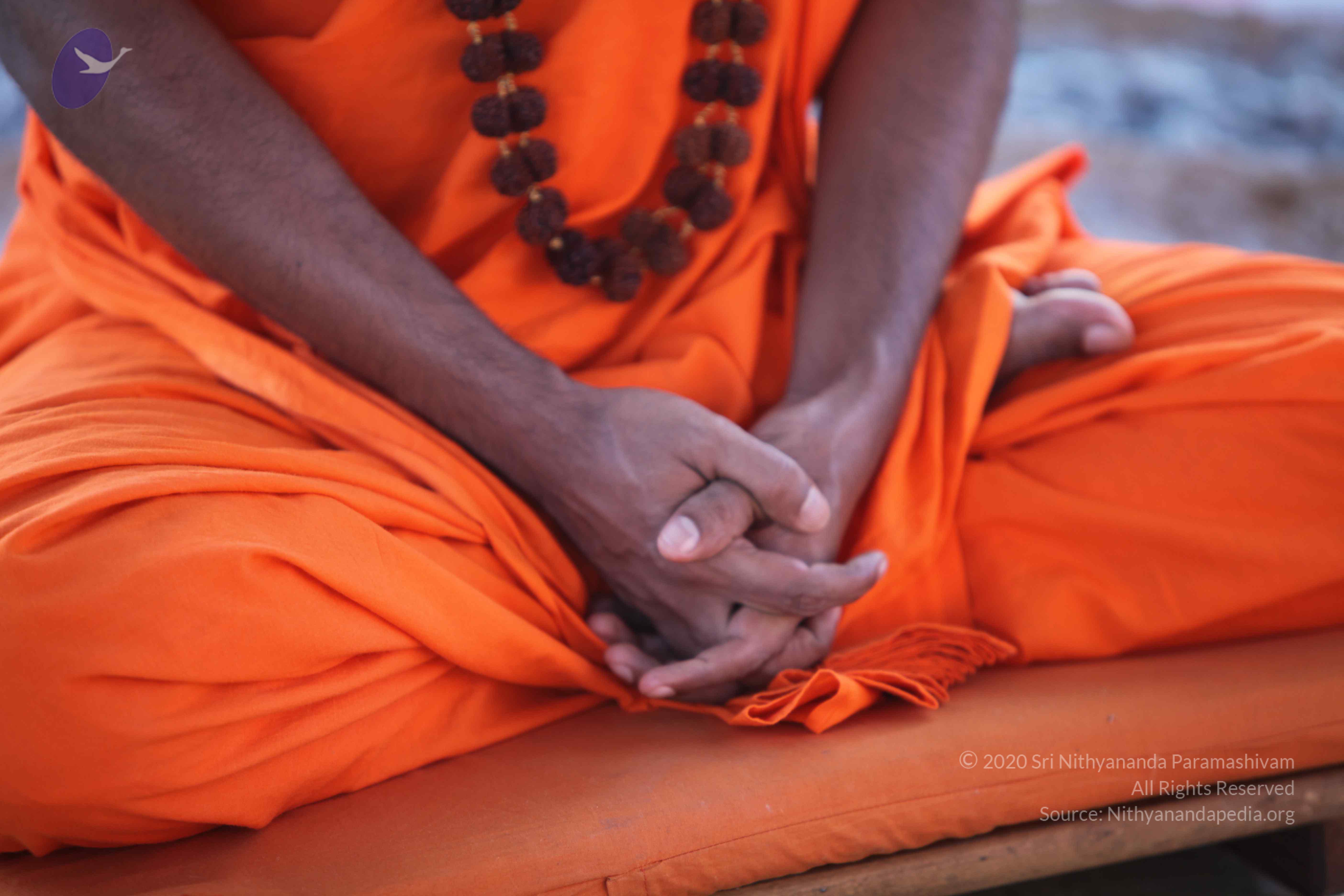 20110201_Photo_1141_IMG_2413_CMP_WM