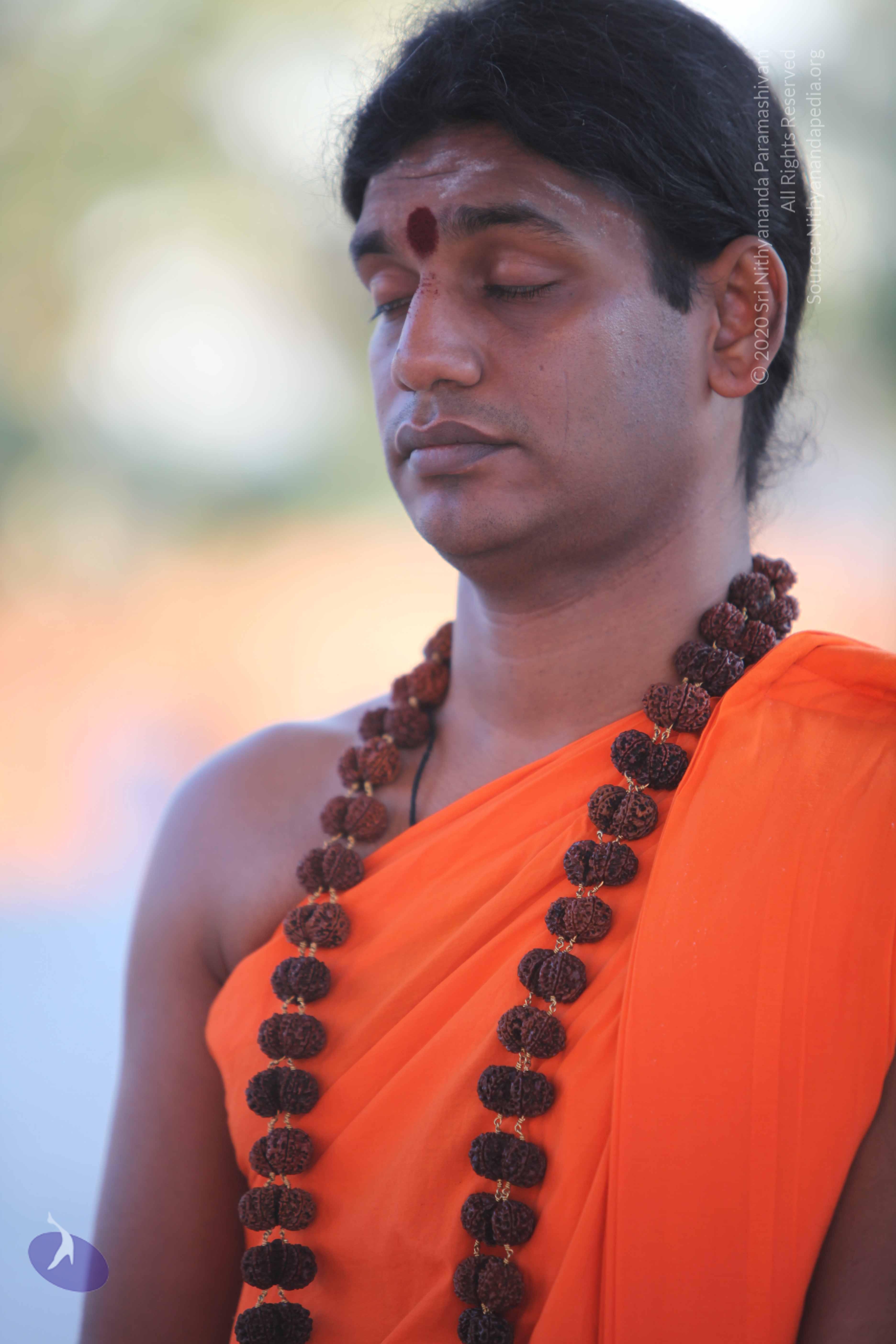 20110201_Photo_1144_IMG_2446_CMP_WM