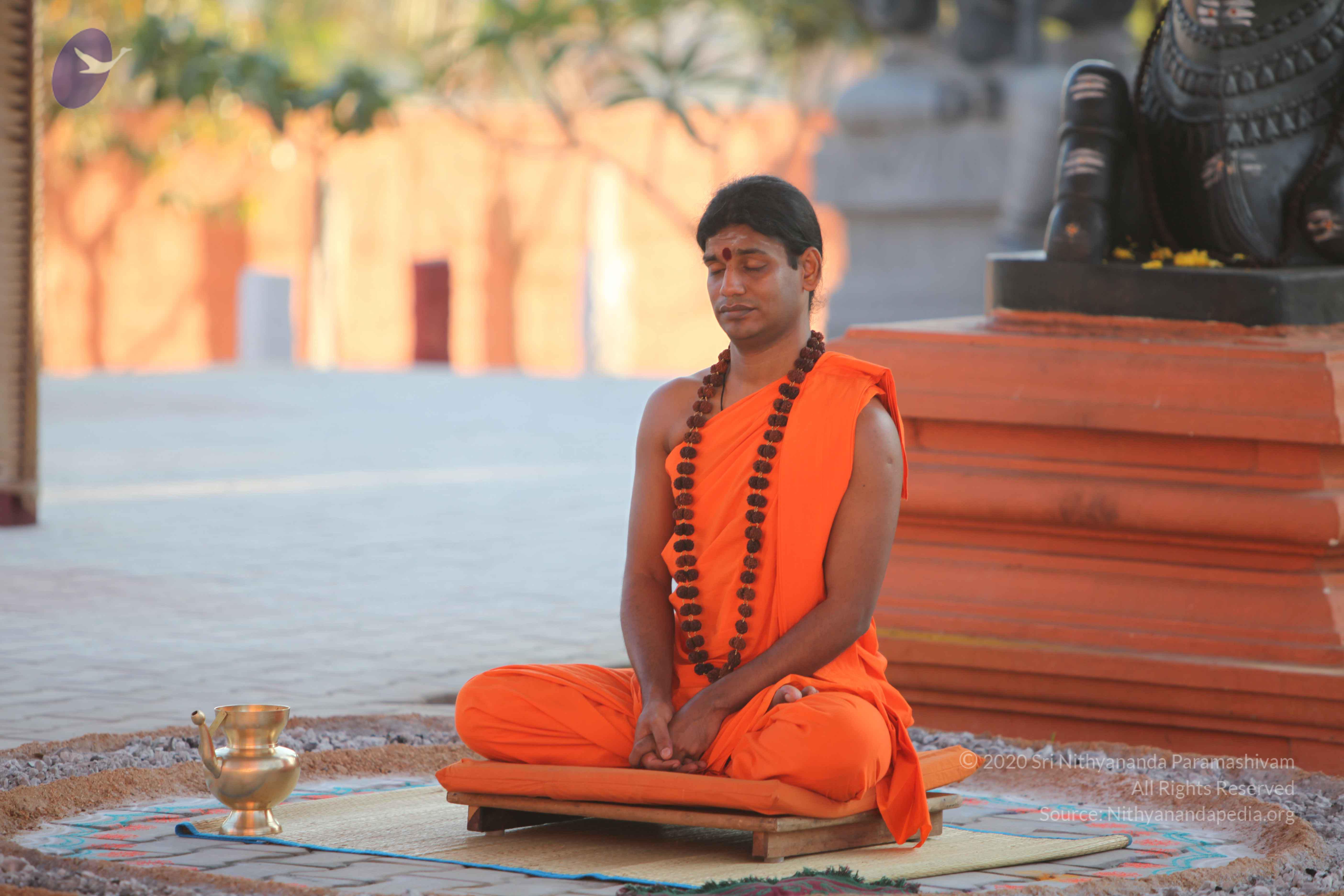 20110201_Photo_1146_IMG_2552_CMP_WM