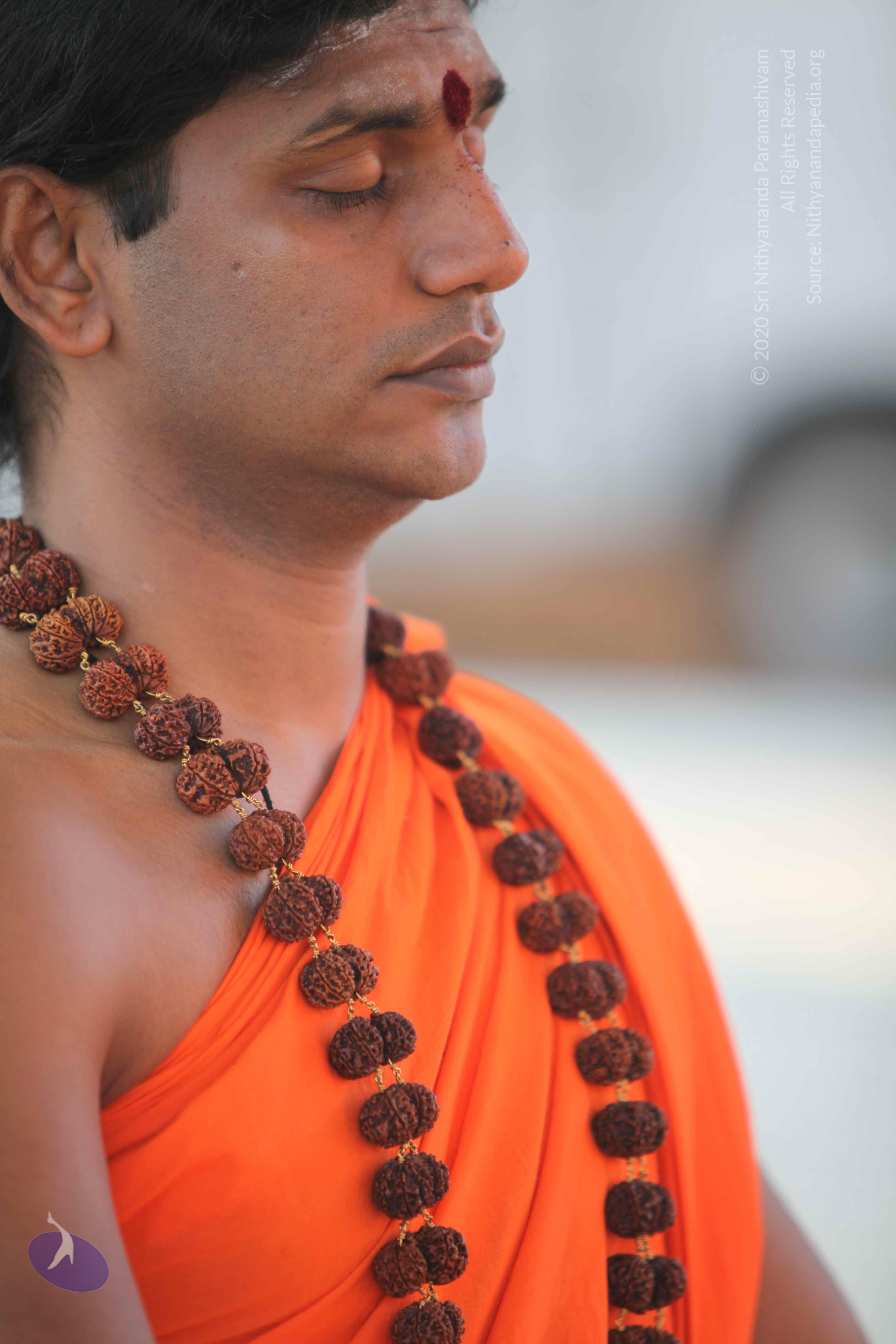 20110201_Photo_1151_IMG_2383_CMP_WM