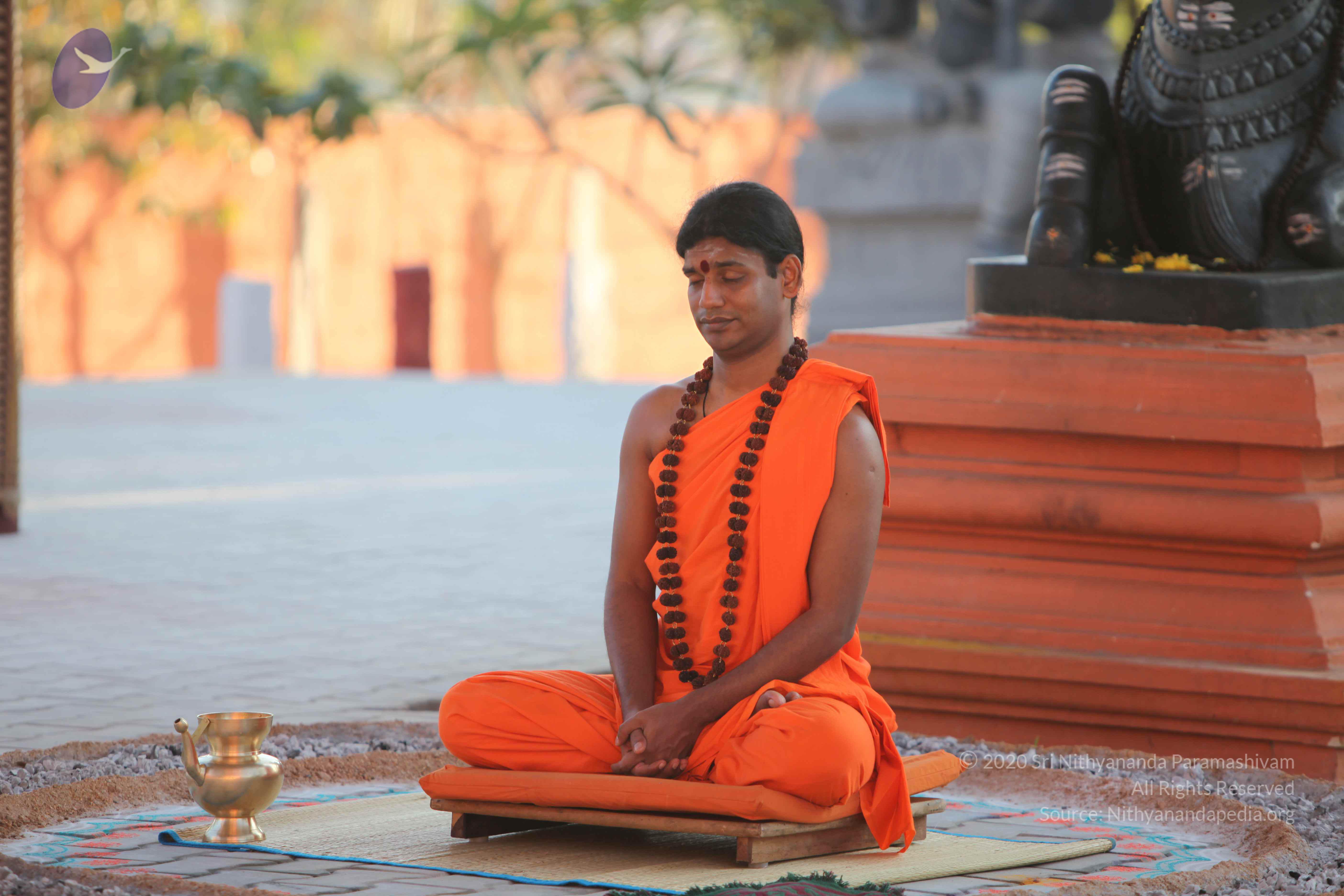 20110201_Photo_1153_IMG_2543_CMP_WM