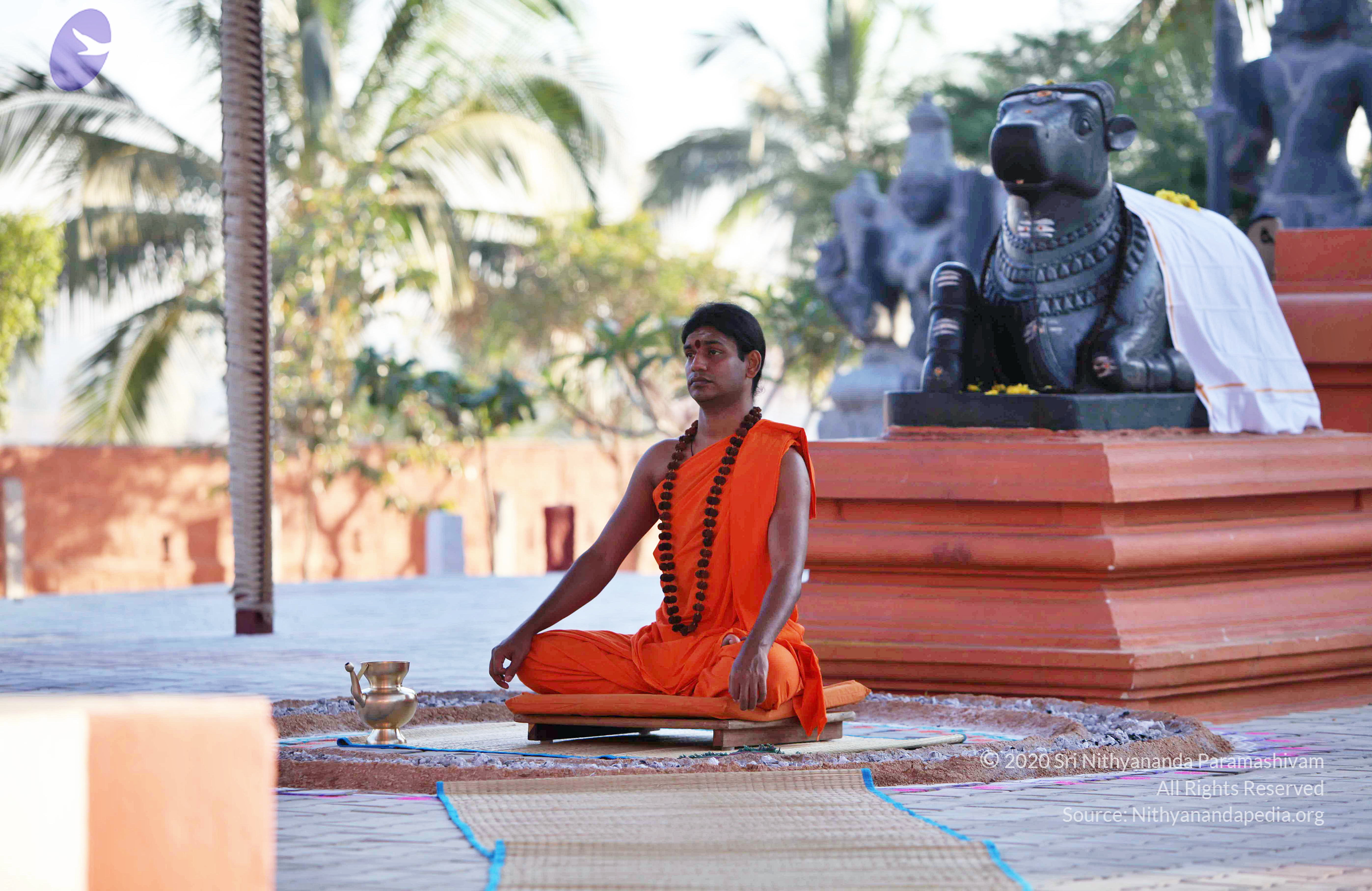 20110201_Photo_1154_IMG_2457_CMP_WM