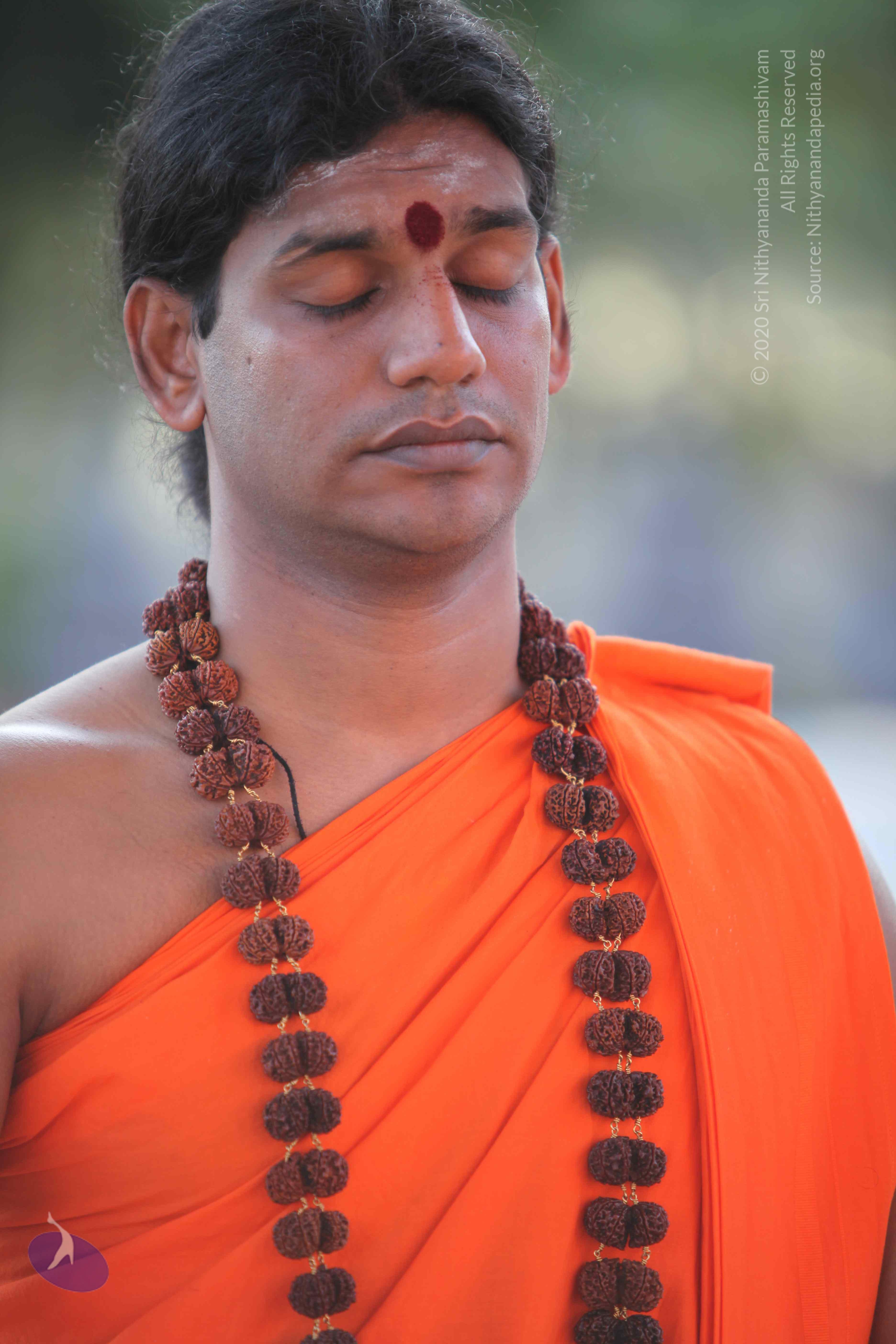 20110201_Photo_1157_IMG_2402_CMP_WM