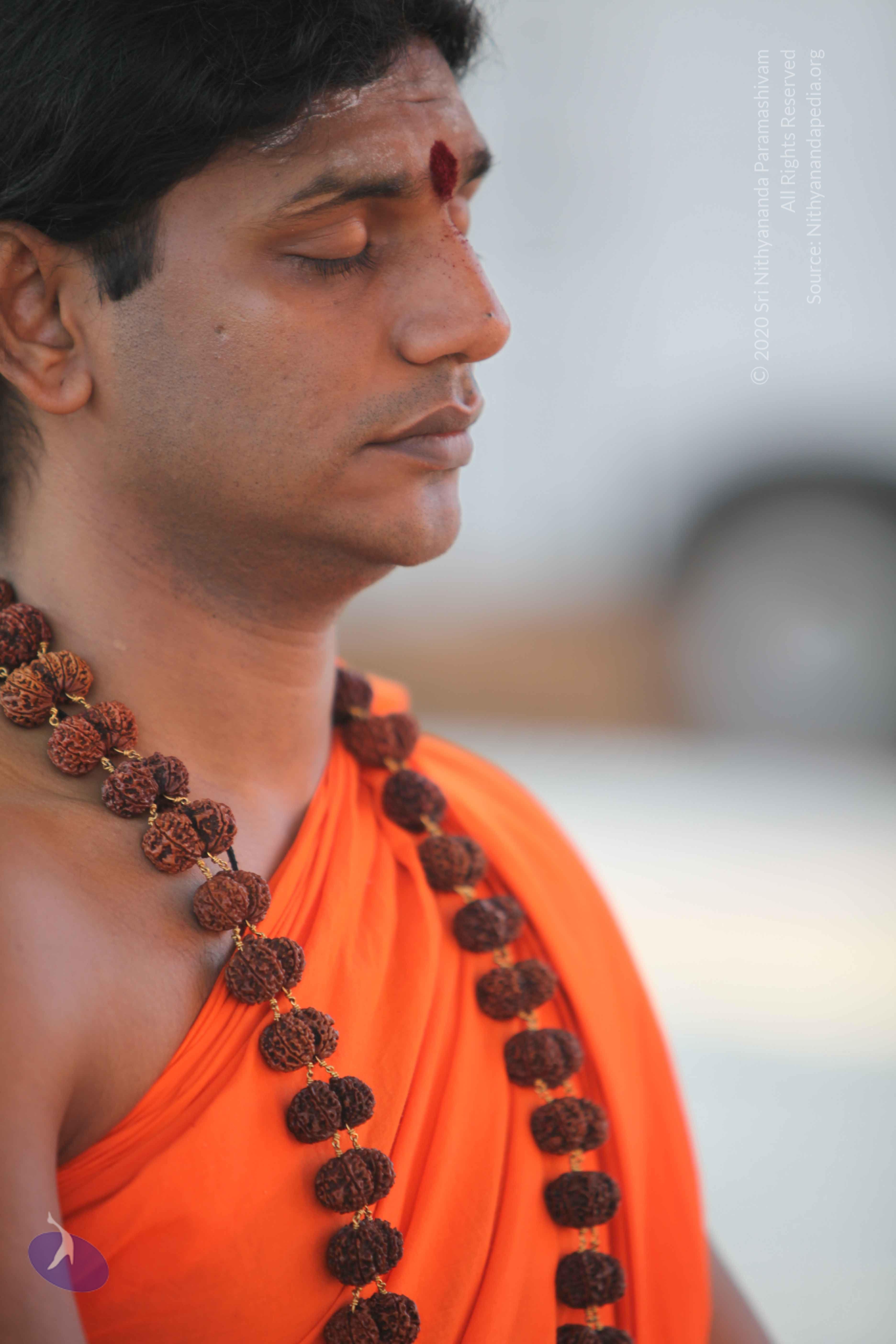 20110201_Photo_1159_IMG_2386_CMP_WM