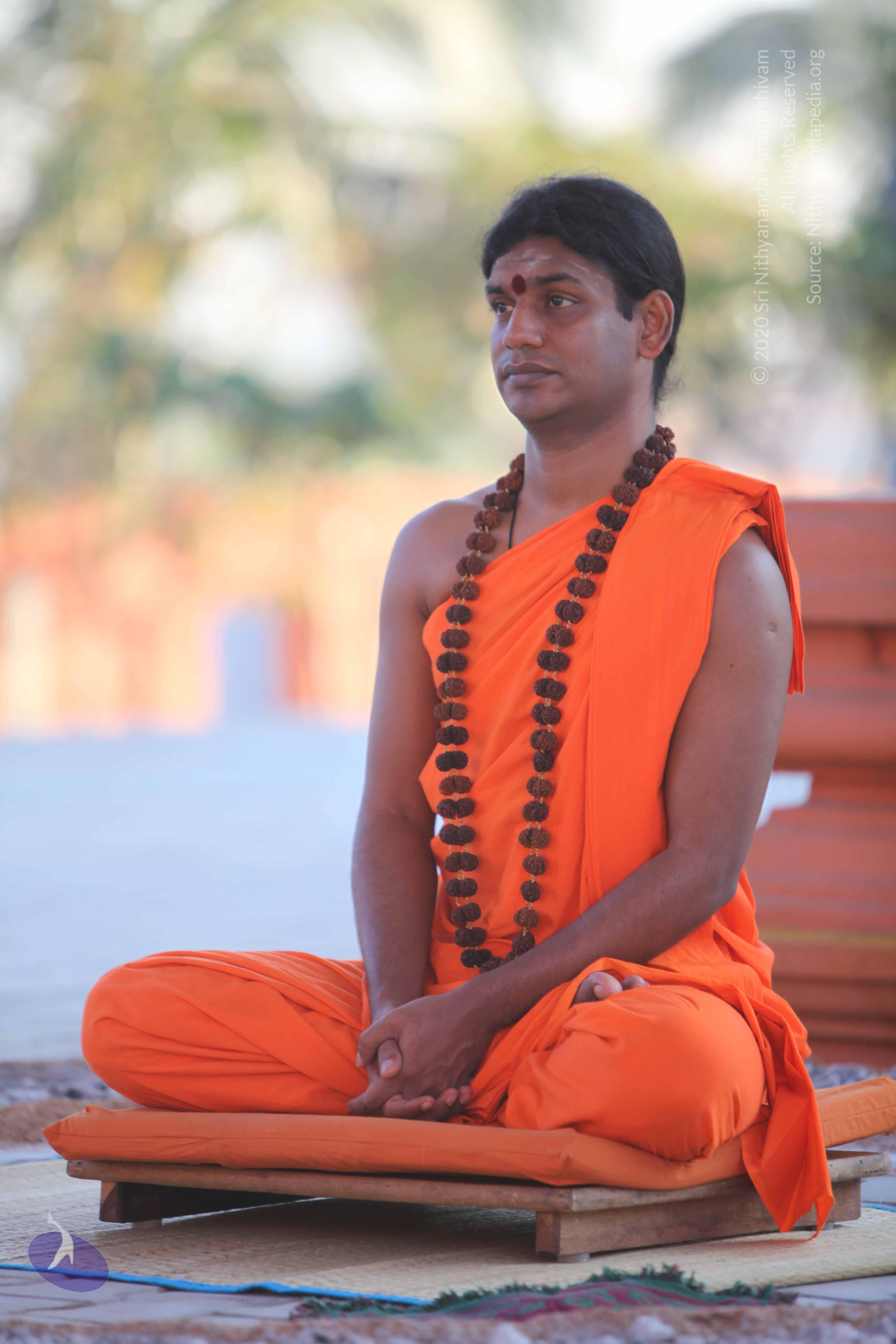 20110201_Photo_1161_IMG_2479_CMP_WM