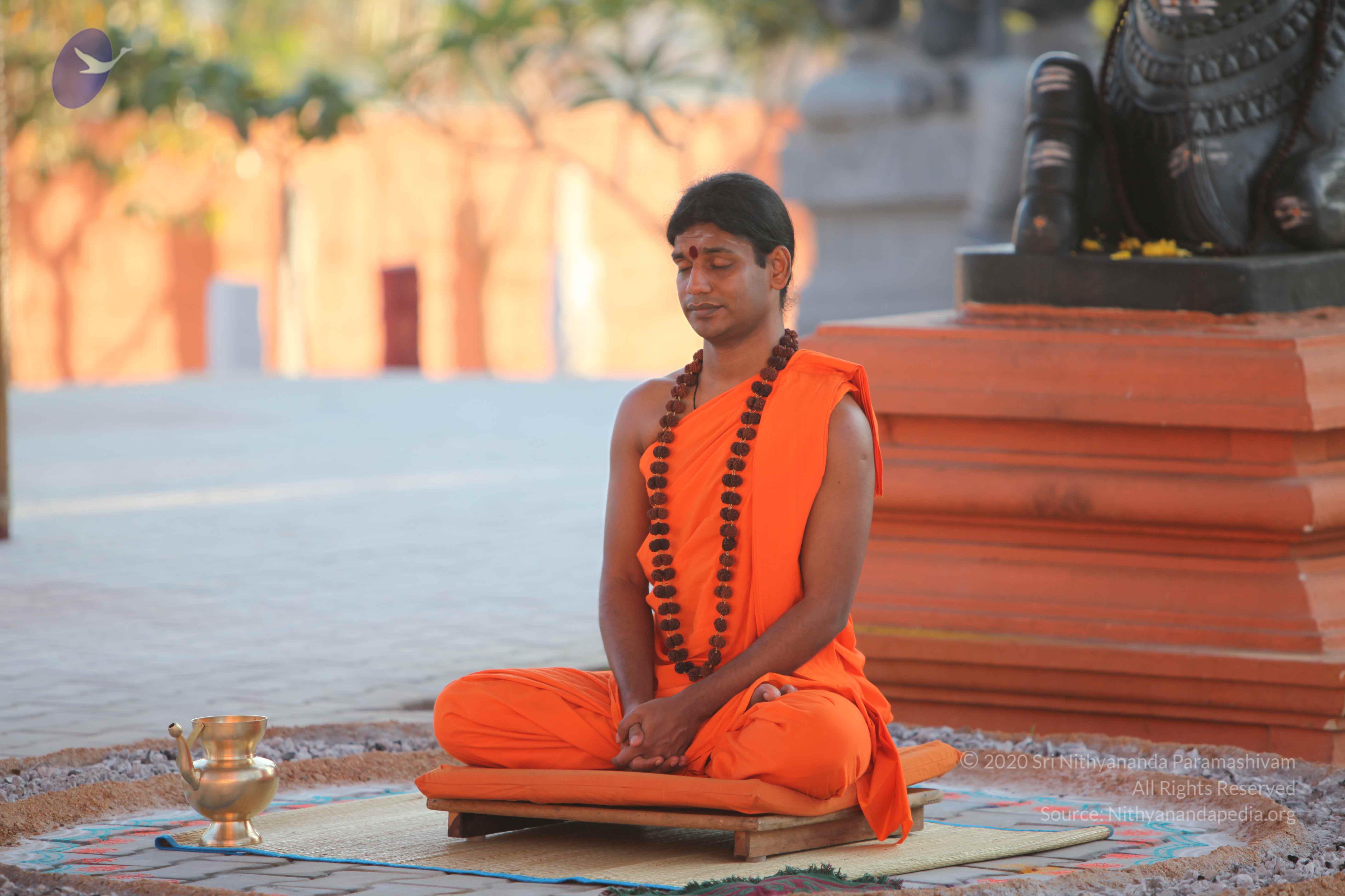 20110201_Photo_1162_IMG_2538_CMP_WM