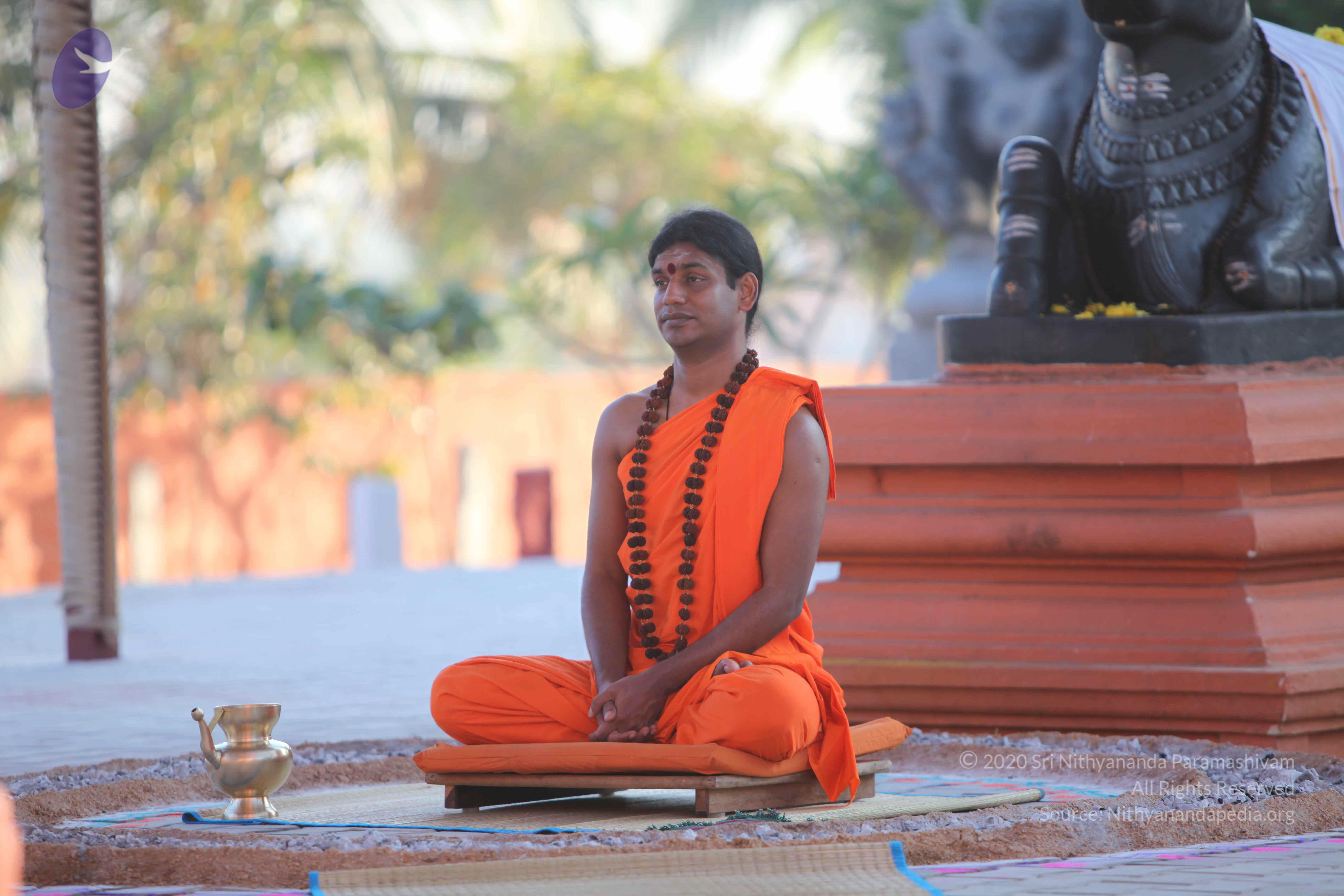 20110201_Photo_1165_IMG_2465_CMP_WM