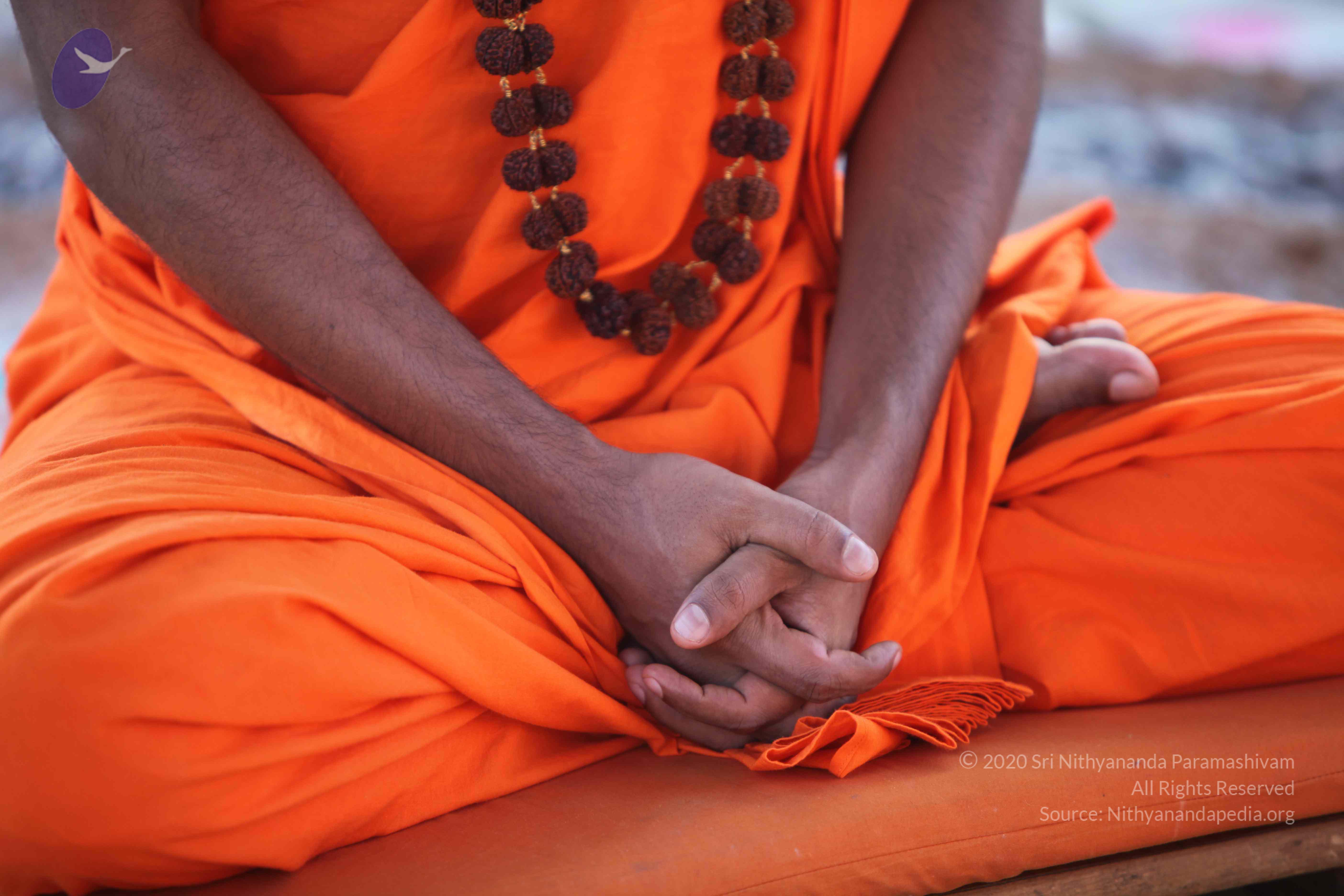 20110201_Photo_1174_IMG_2416_CMP_WM