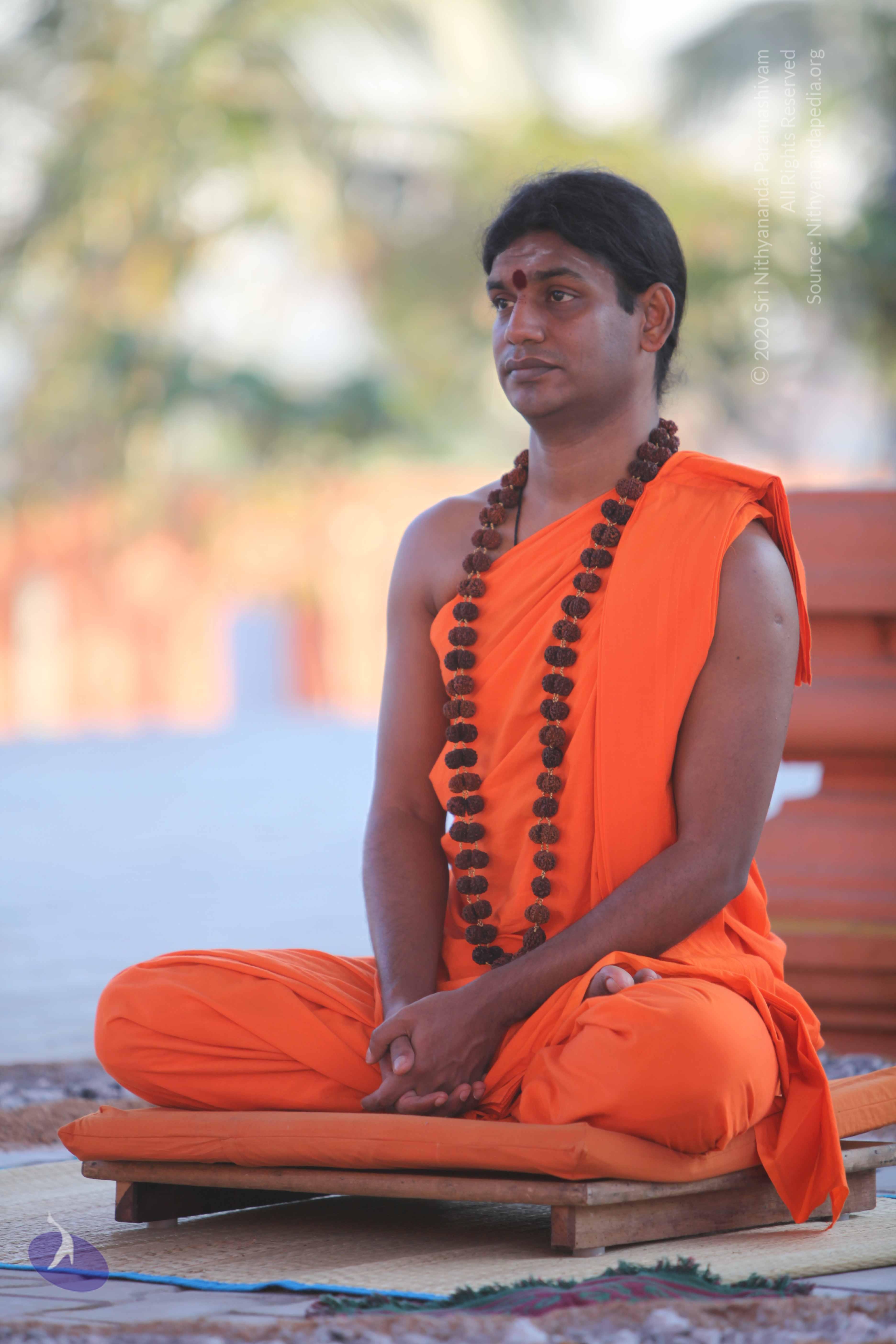 20110201_Photo_1176_IMG_2474_CMP_WM