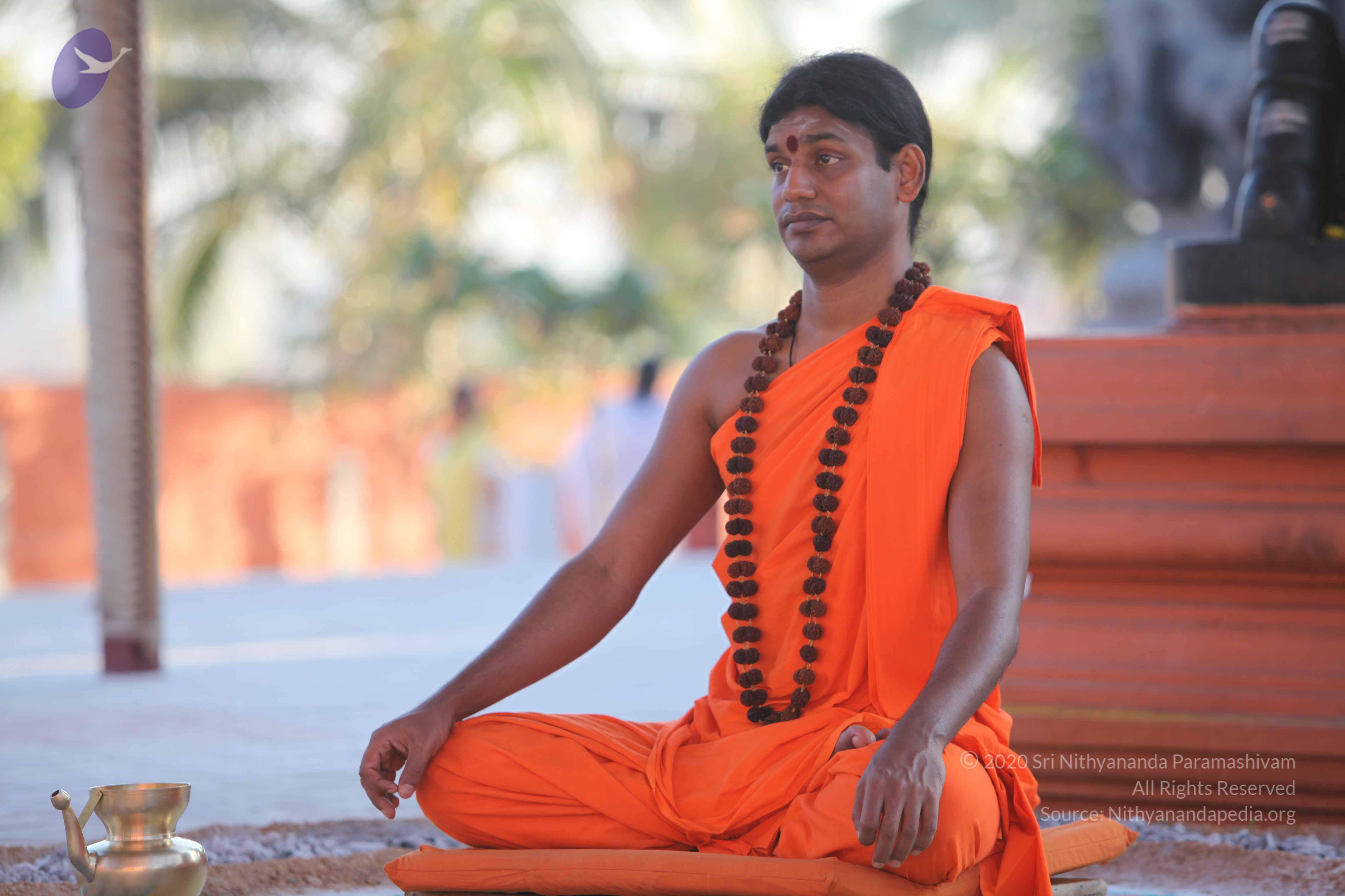 20110201_Photo_1178_IMG_2529_CMP_WM