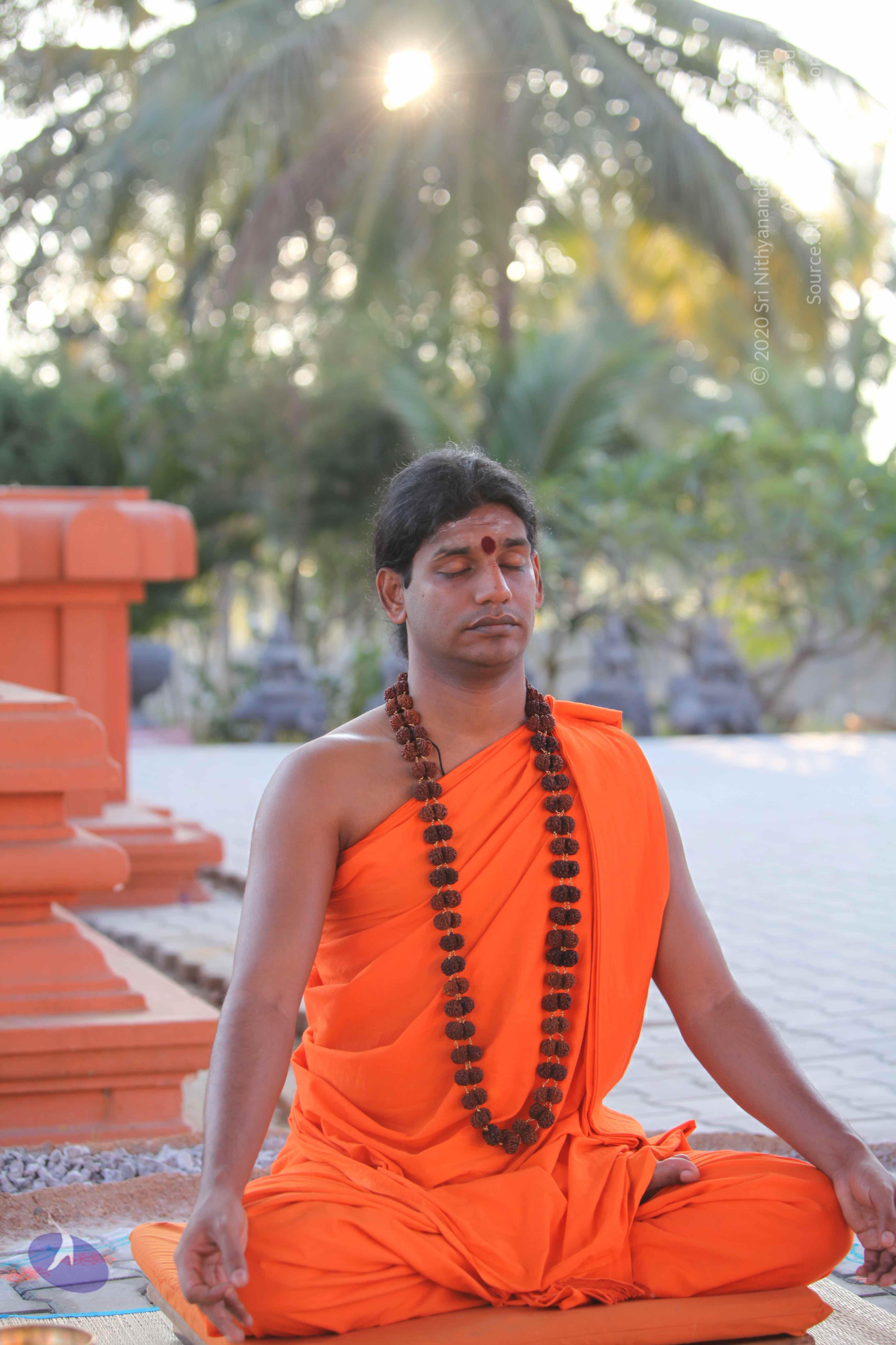 20110201_Photo_1181_IMG_2397_CMP_WM