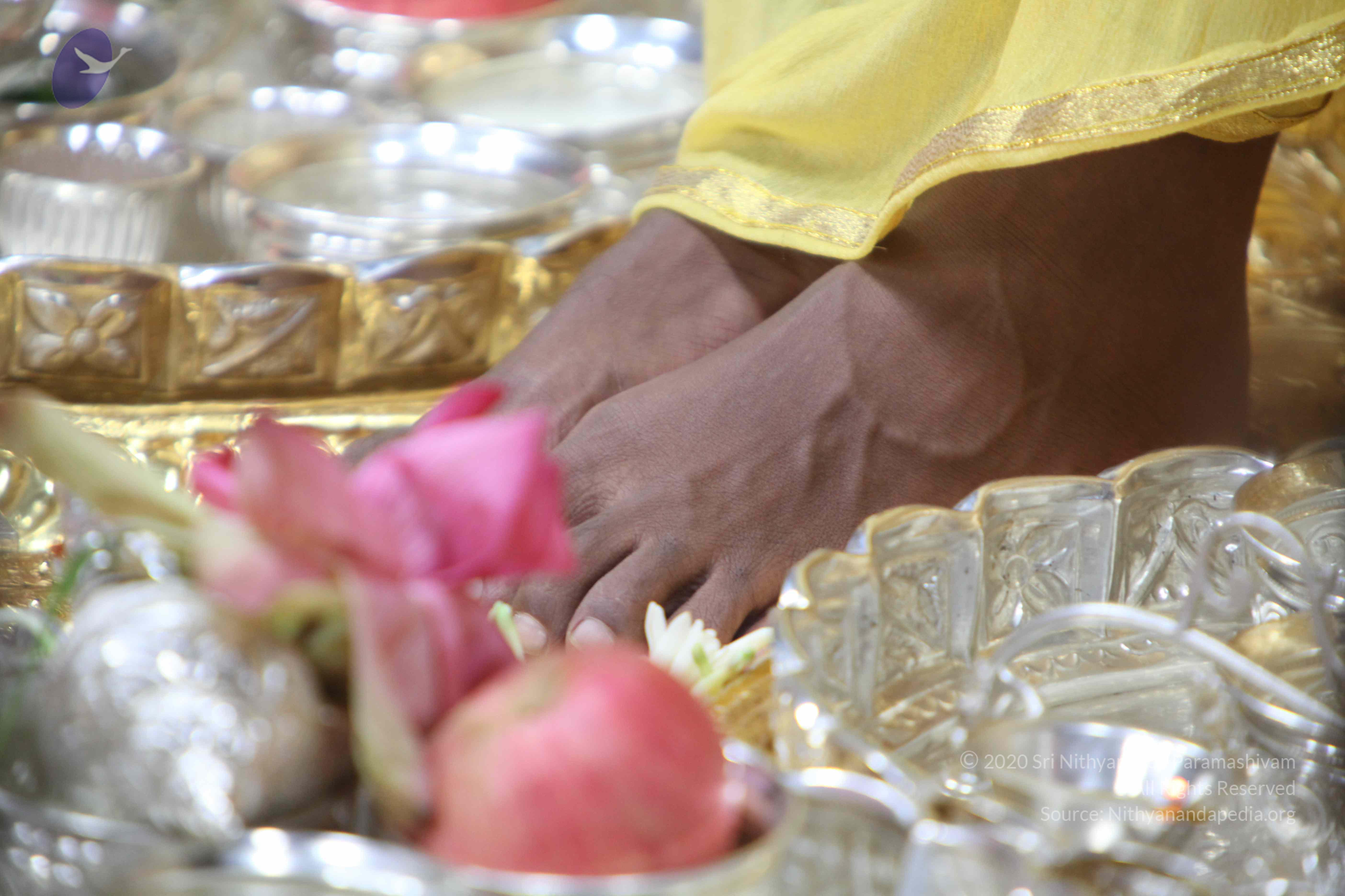 20110201_Photo_1008_IMG_2588_CMP_WM