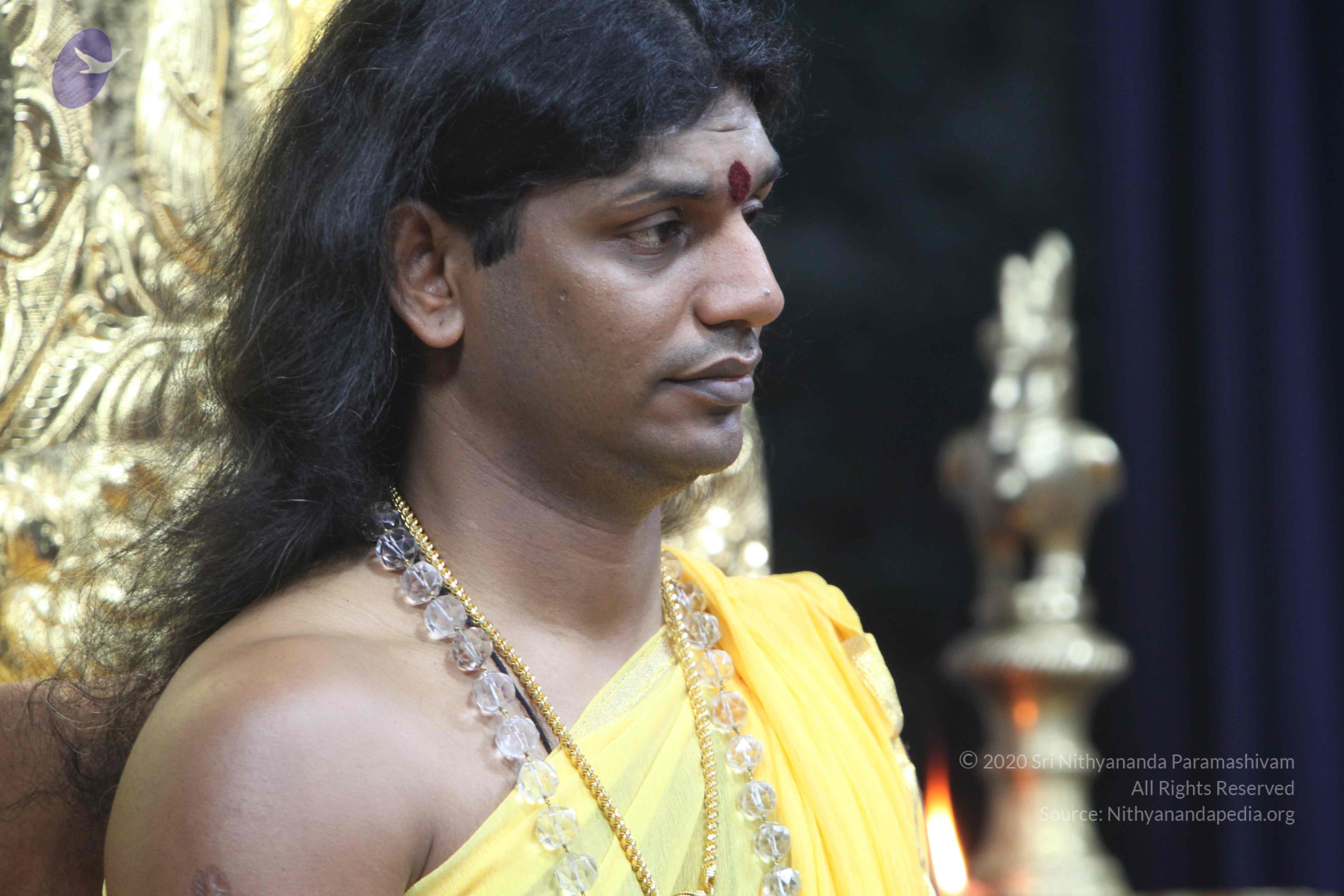 20110201_Photo_1026_IMG_2576_CMP_WM