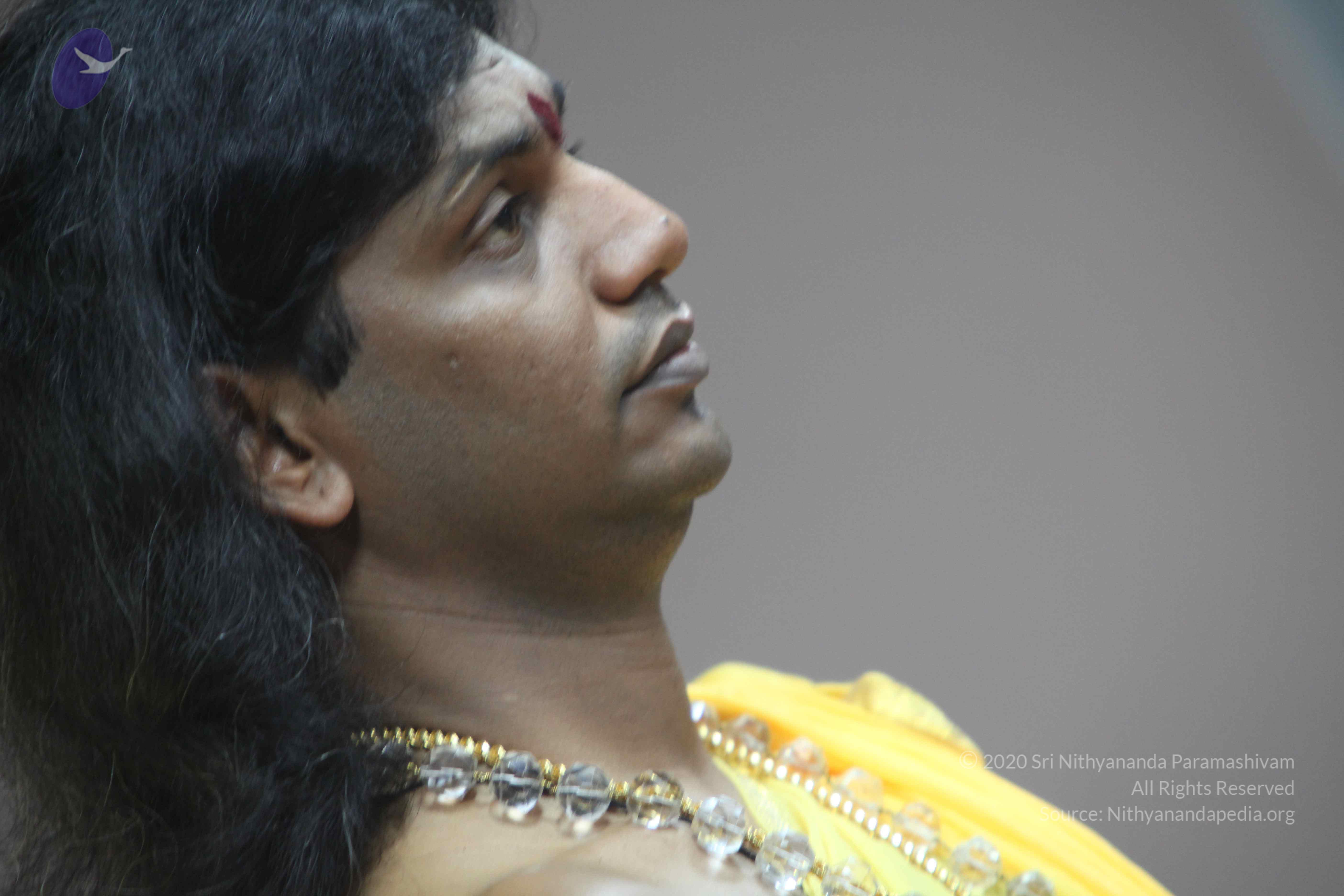 20110201_Photo_1033_IMG_2581_CMP_WM