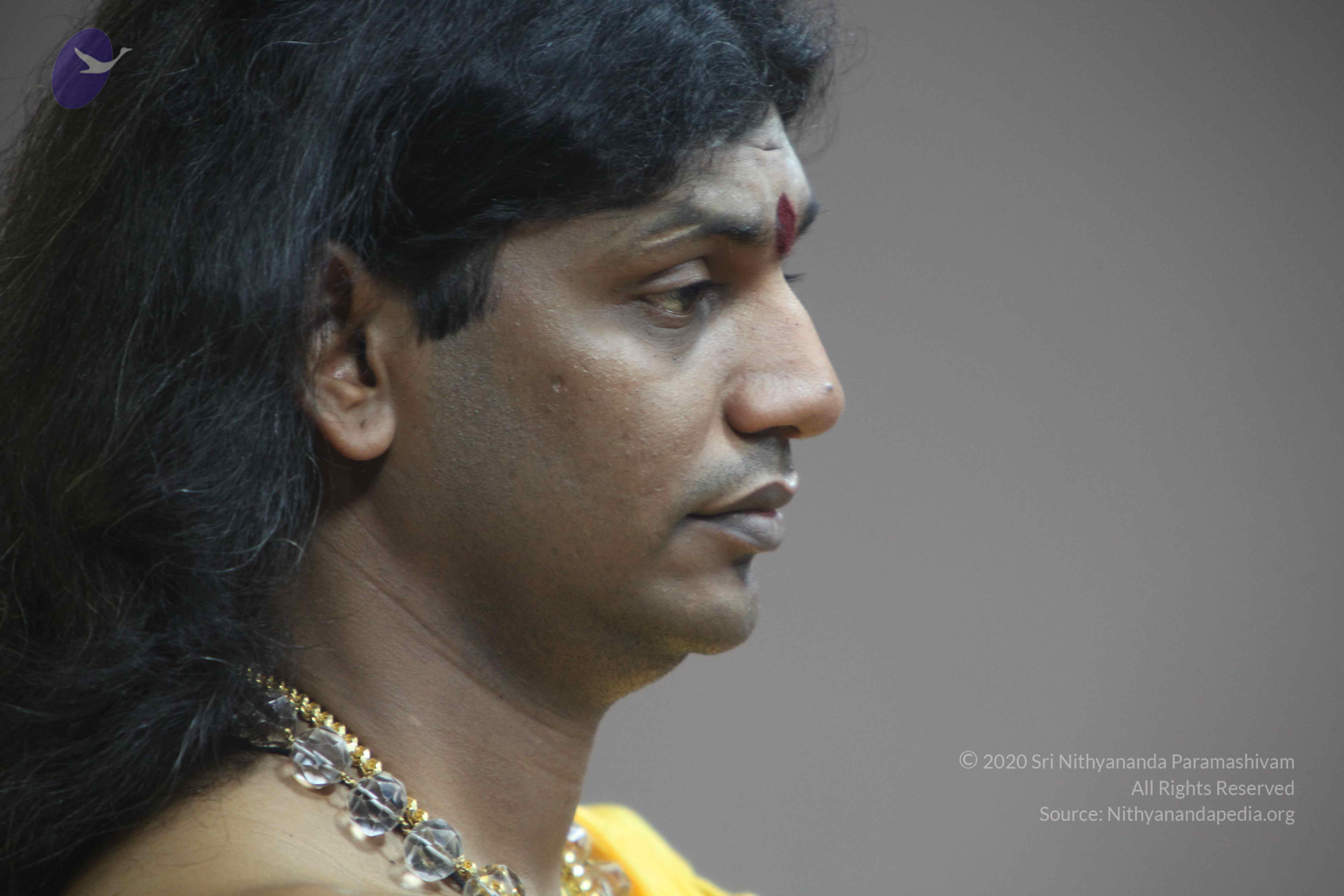 20110201_Photo_1036_IMG_2579_CMP_WM