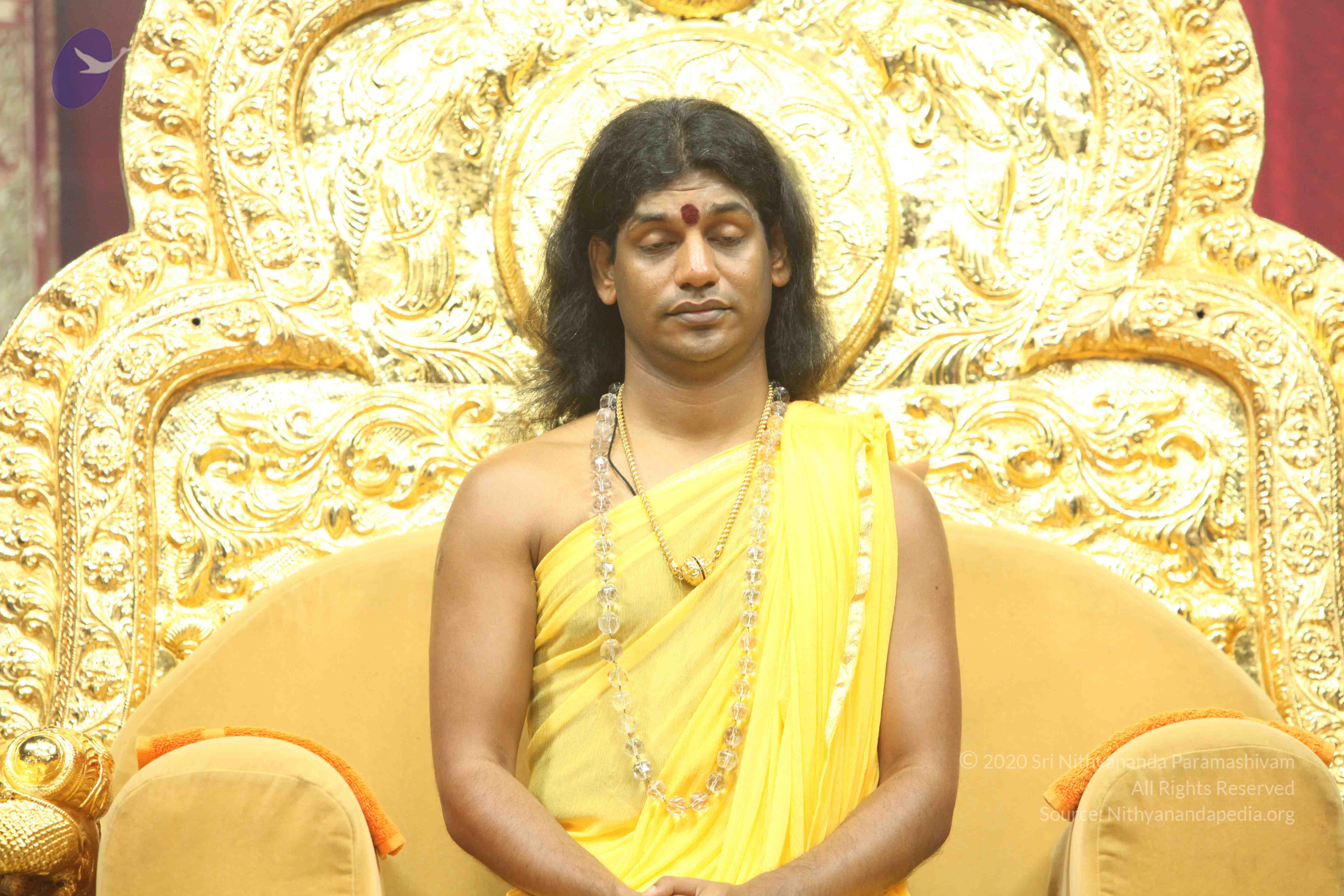 20110201_Photo_1045_IMG_2622_CMP_WM