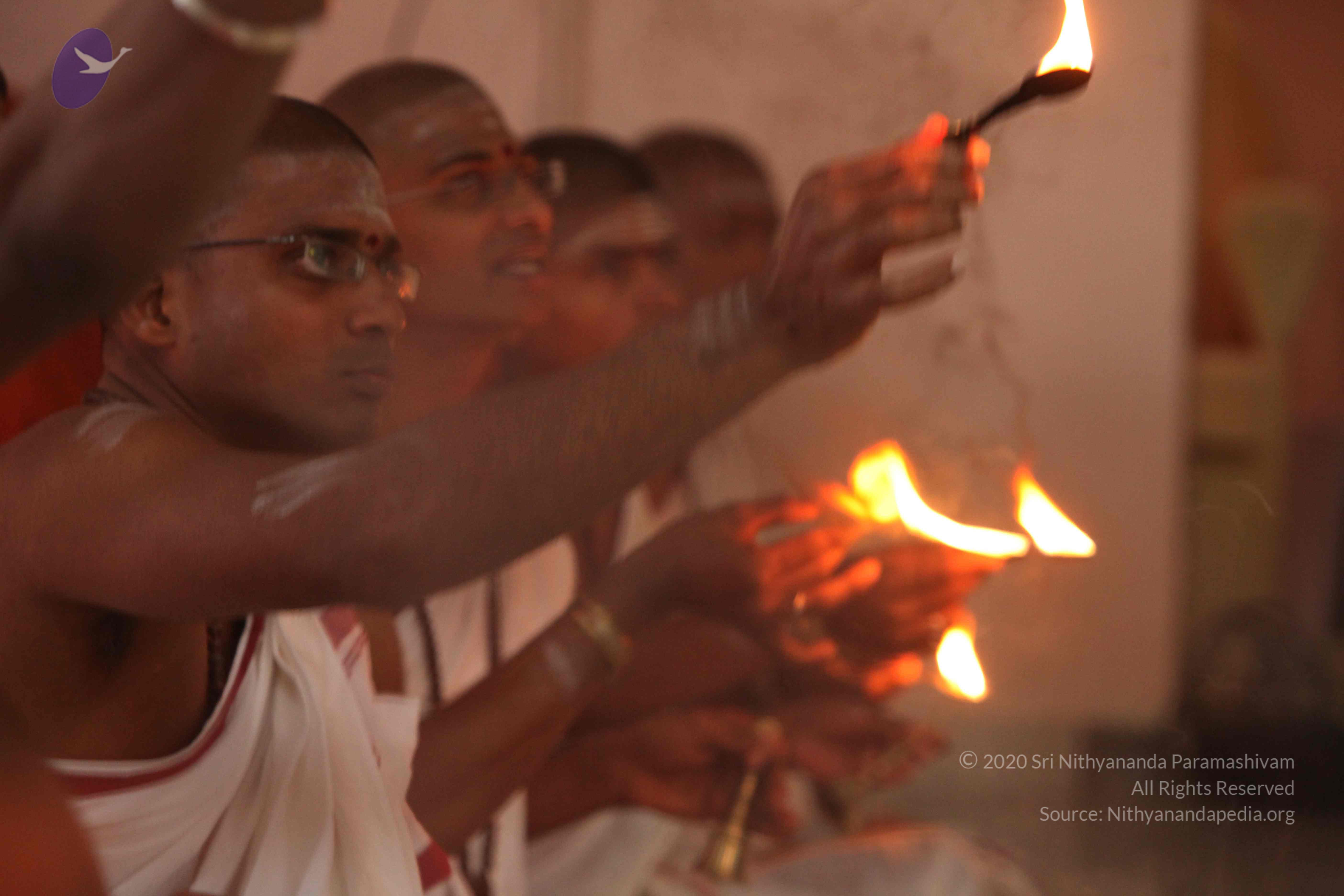 20110201_Photo_1046_IMG_2615_CMP_WM