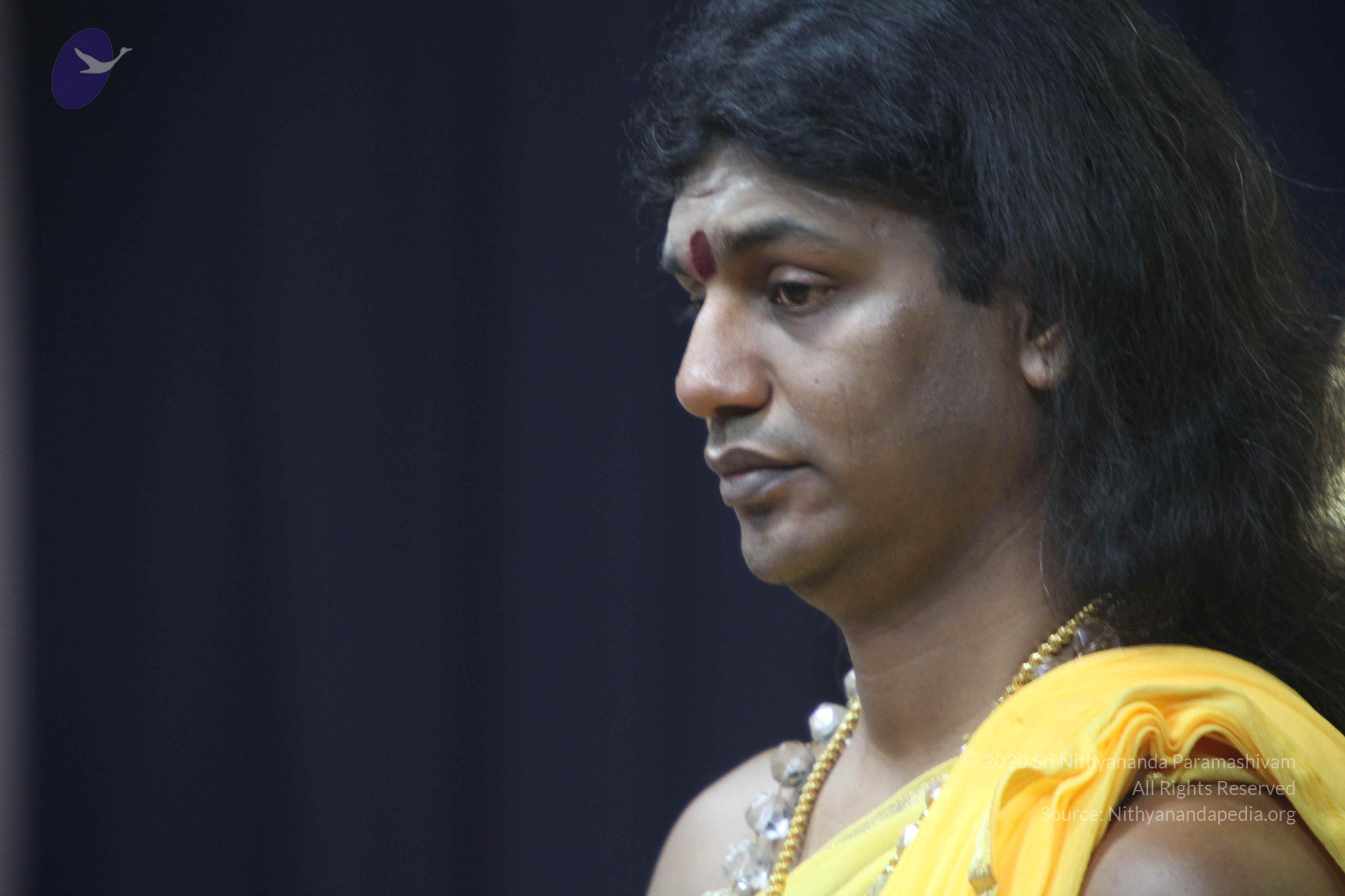 20110201_Photo_1047_IMG_2583_CMP_WM