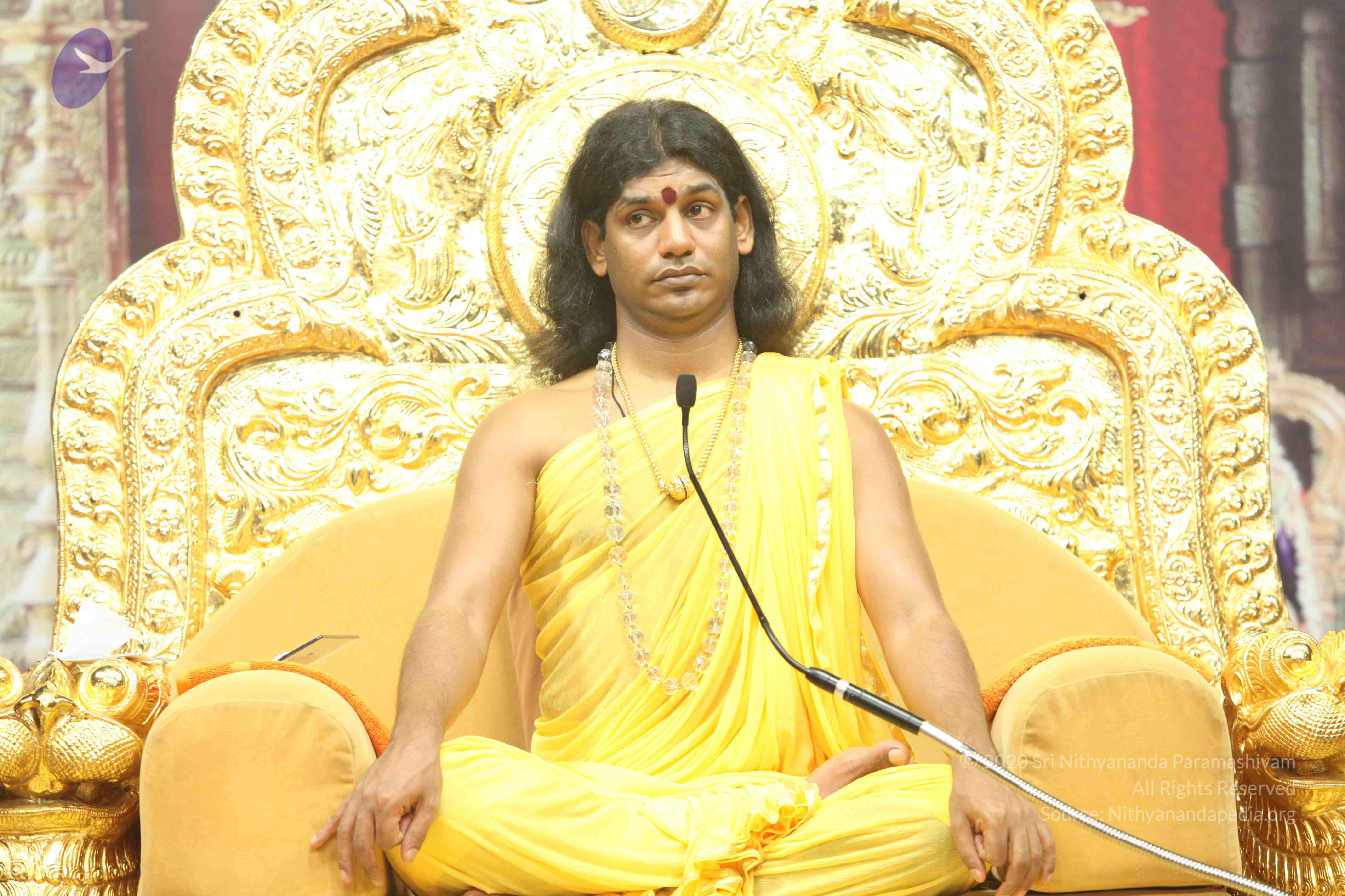 20110201_Photo_1008_IMG_2626_CMP_WM