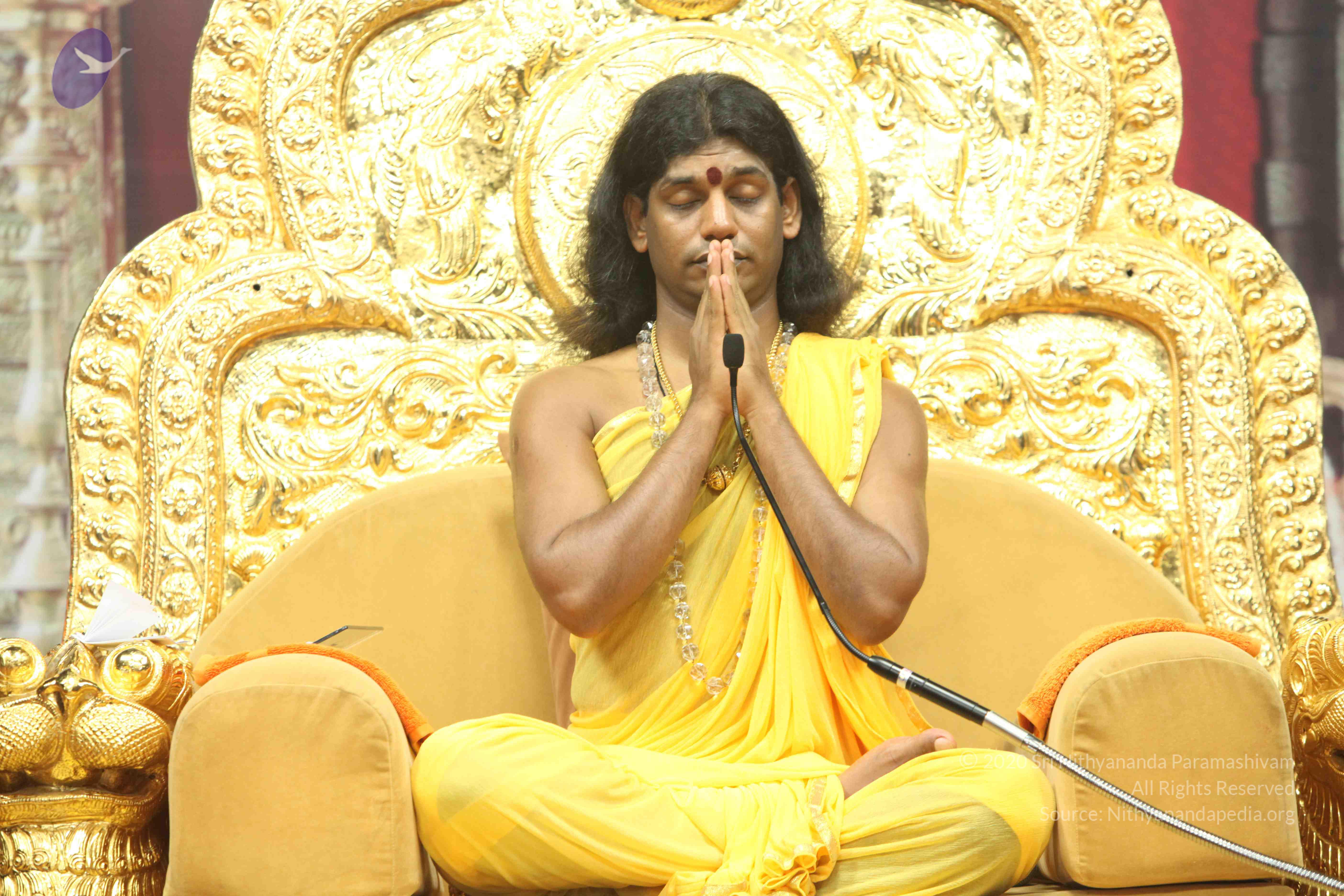 20110201_Photo_1021_IMG_2633_CMP_WM