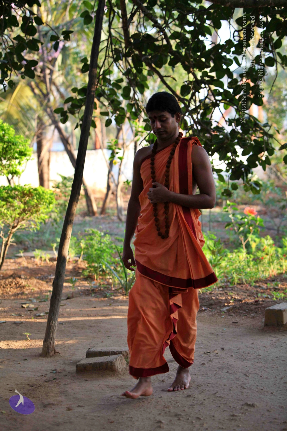 20110202_Photo_1032_IMG_3085_CMP_WM