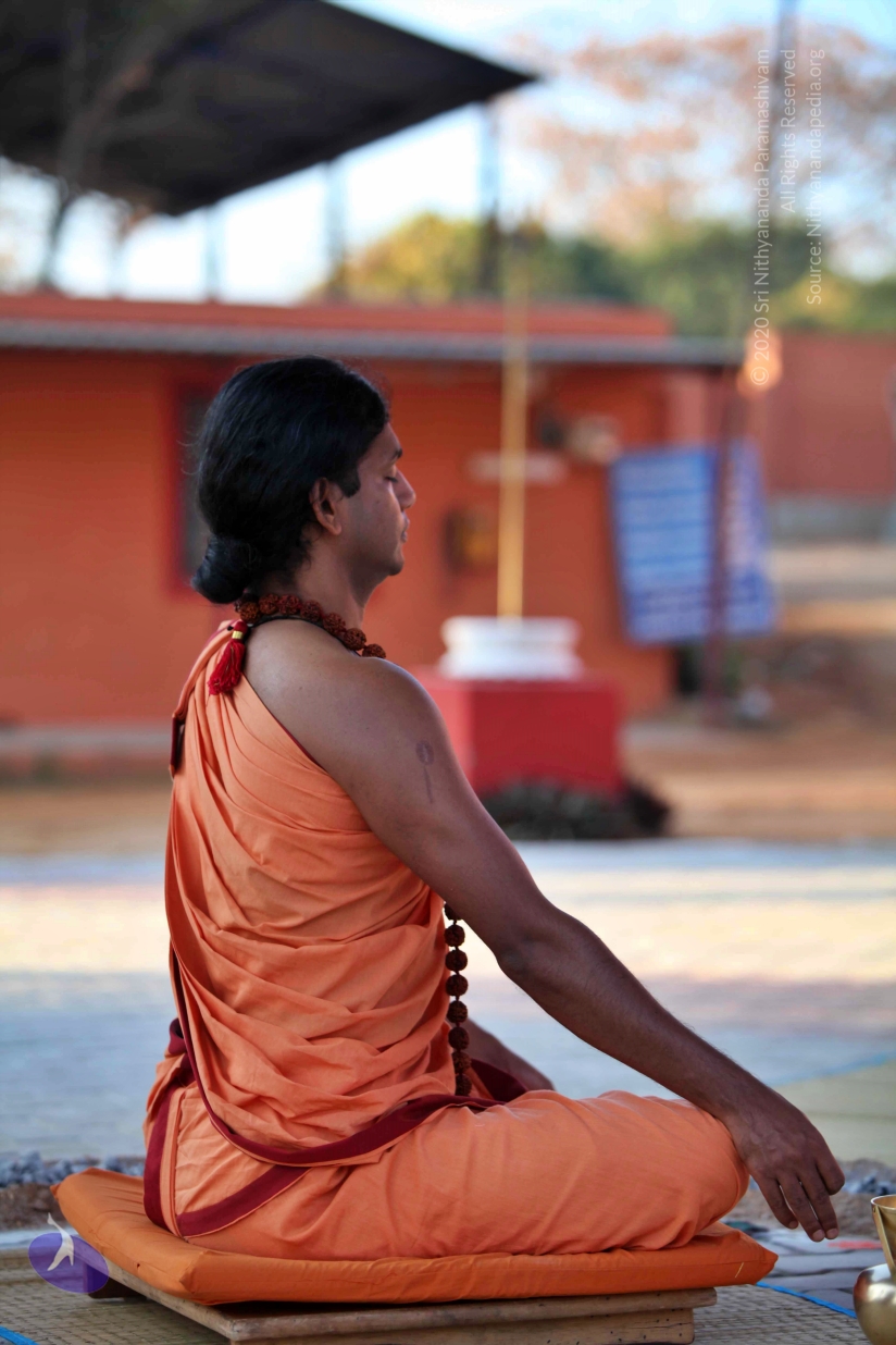 20110202_Photo_1047_IMG_3131_CMP_WM