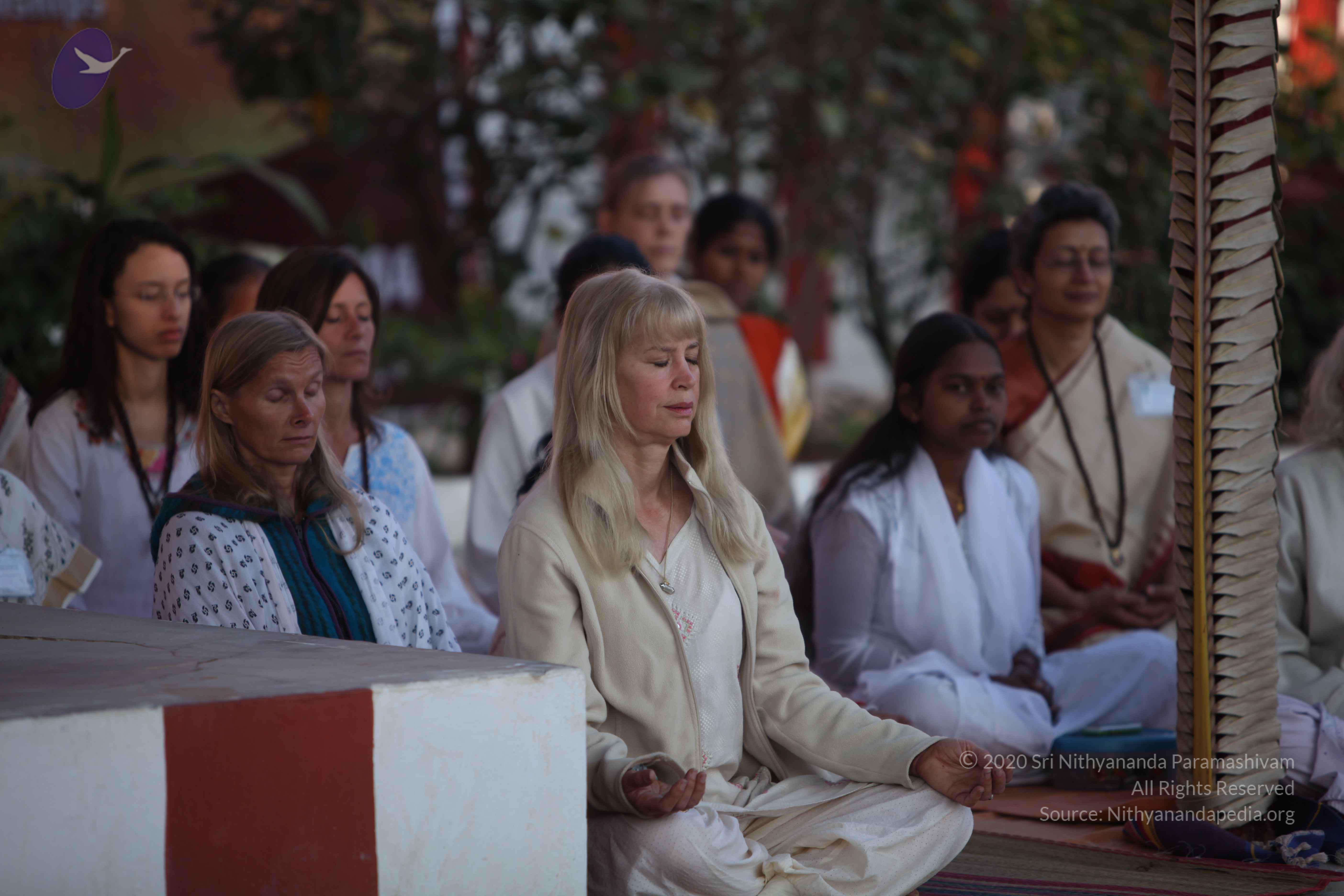 20110202_Photo_1053_IMG_3178_CMP_WM