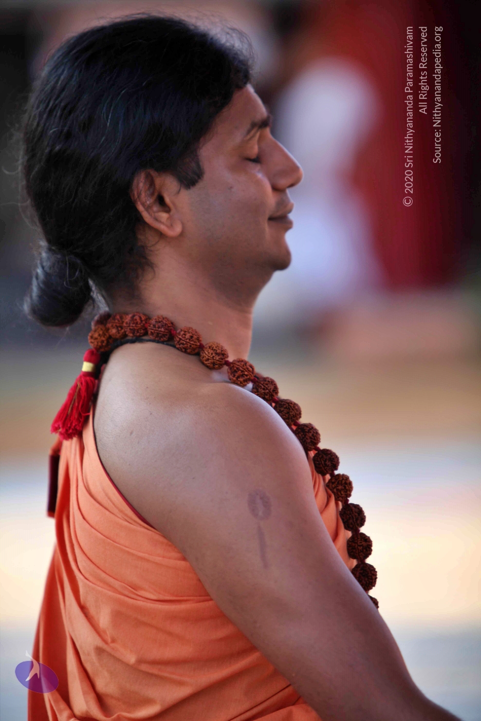 20110202_Photo_1061_IMG_3142_CMP_WM