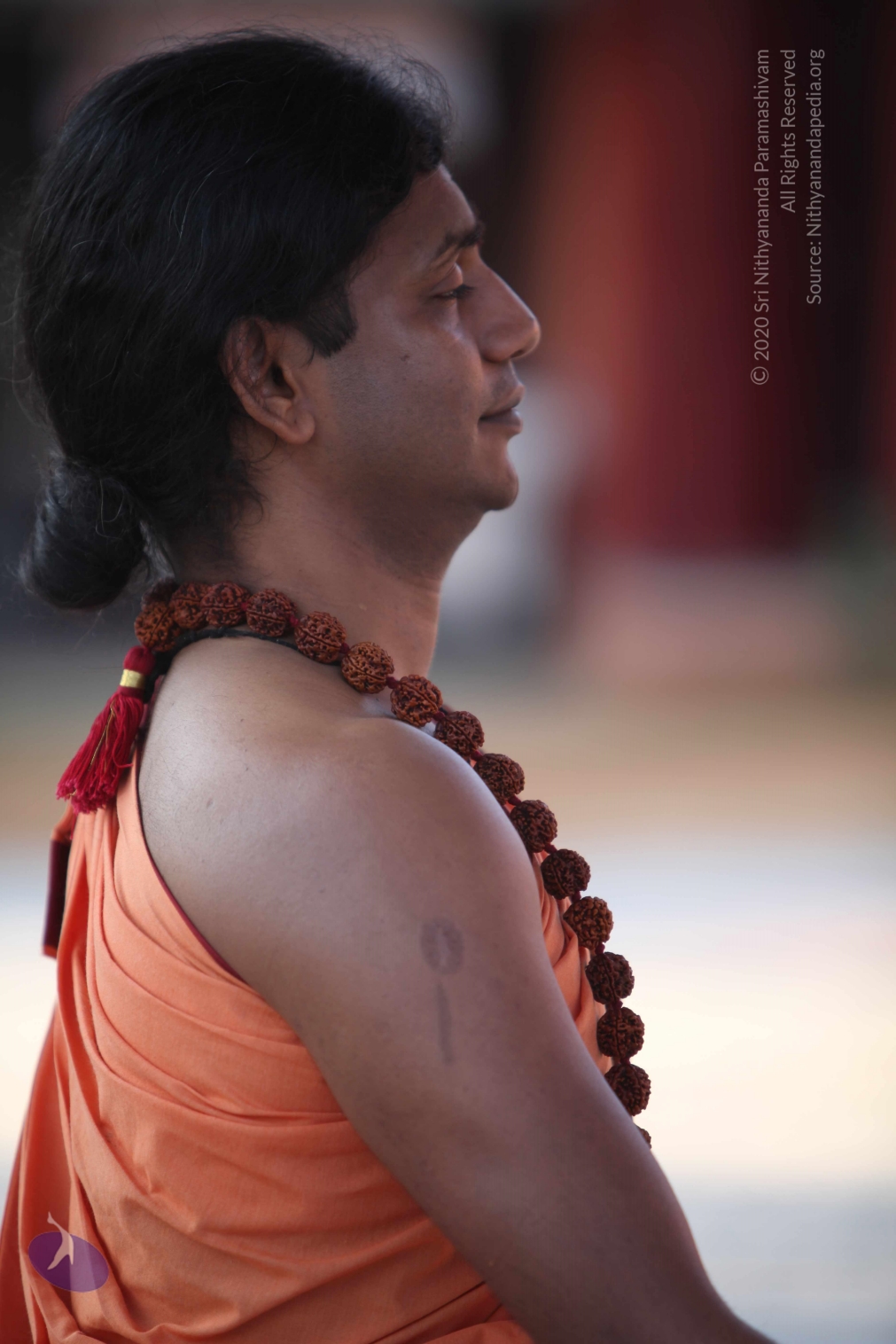 20110202_Photo_1076_IMG_3147_CMP_WM