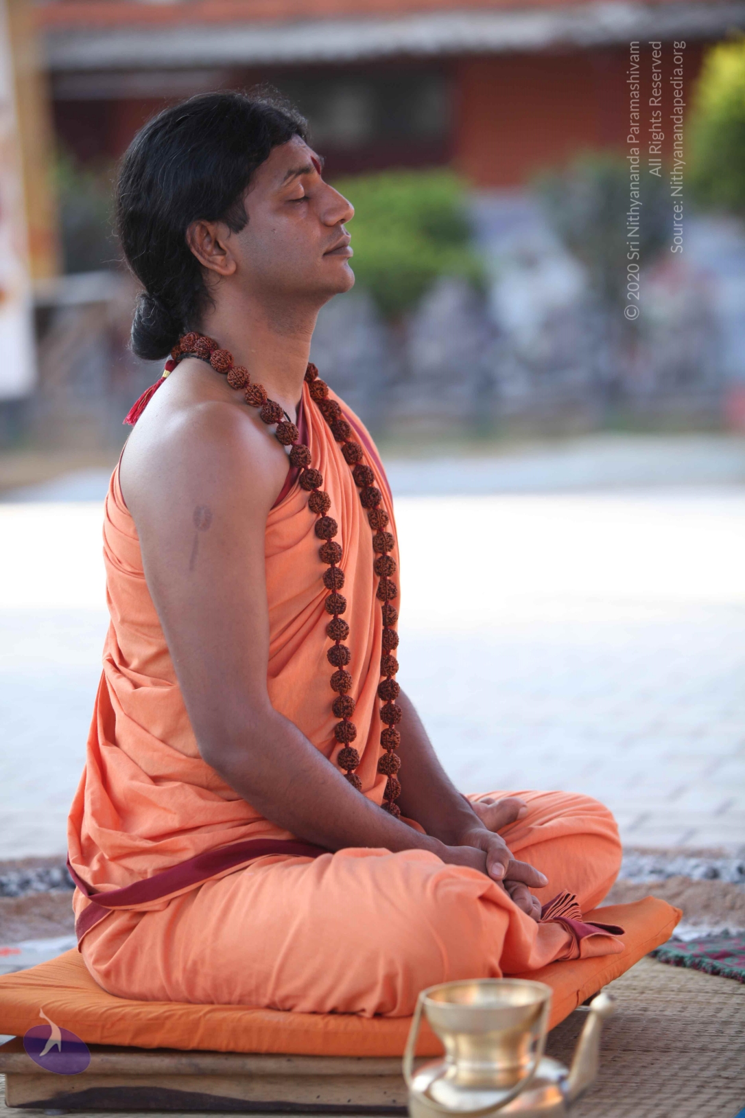 20110202_Photo_1104_IMG_3217_CMP_WM