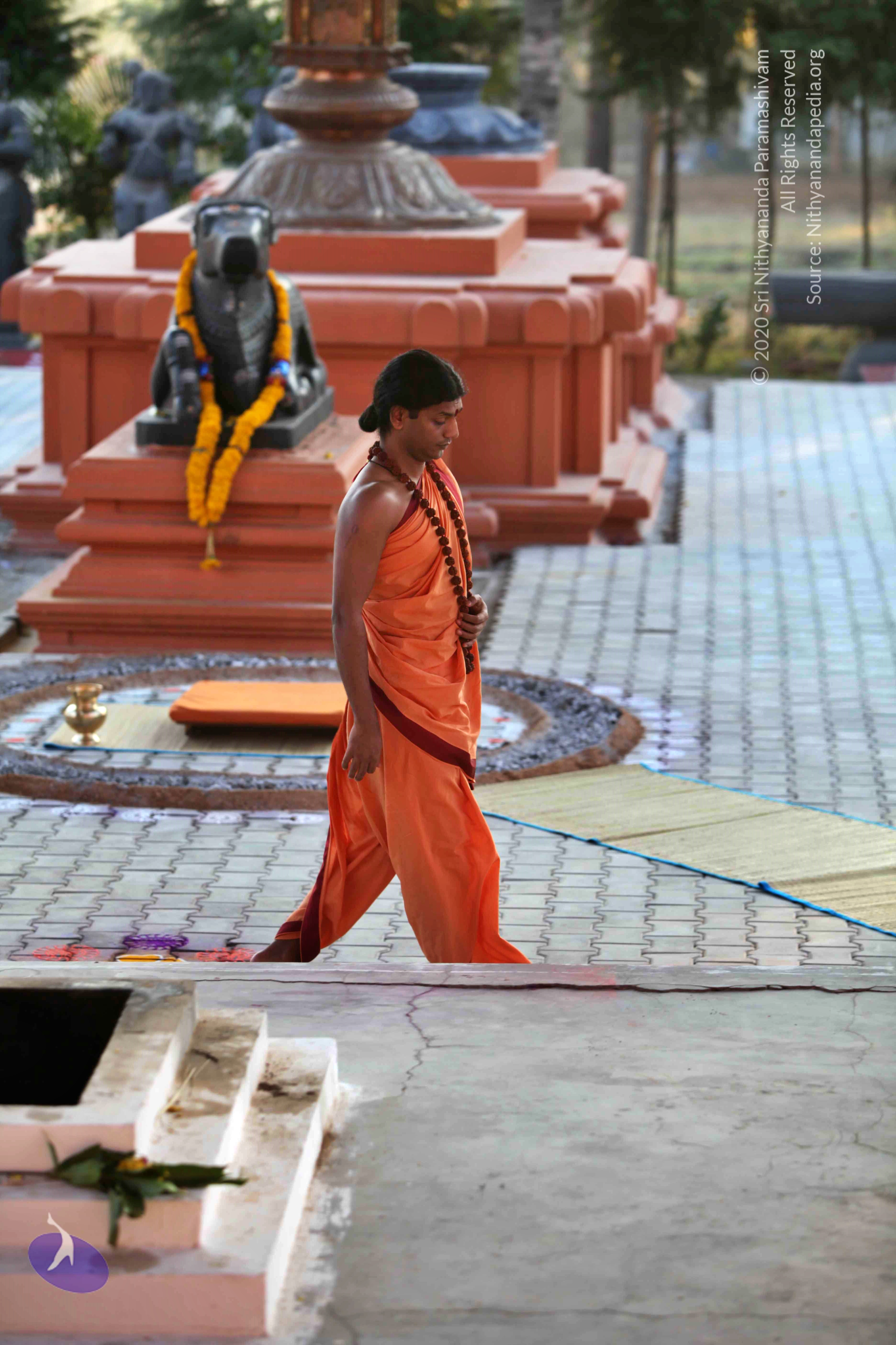 20110202_Photo_1119_IMG_3058_CMP_WM