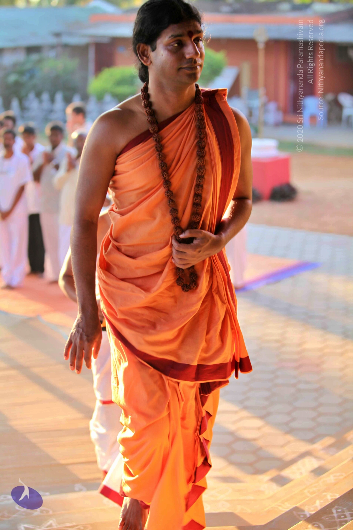 20110202_Photo_1129_IMG_3062_CMP_WM