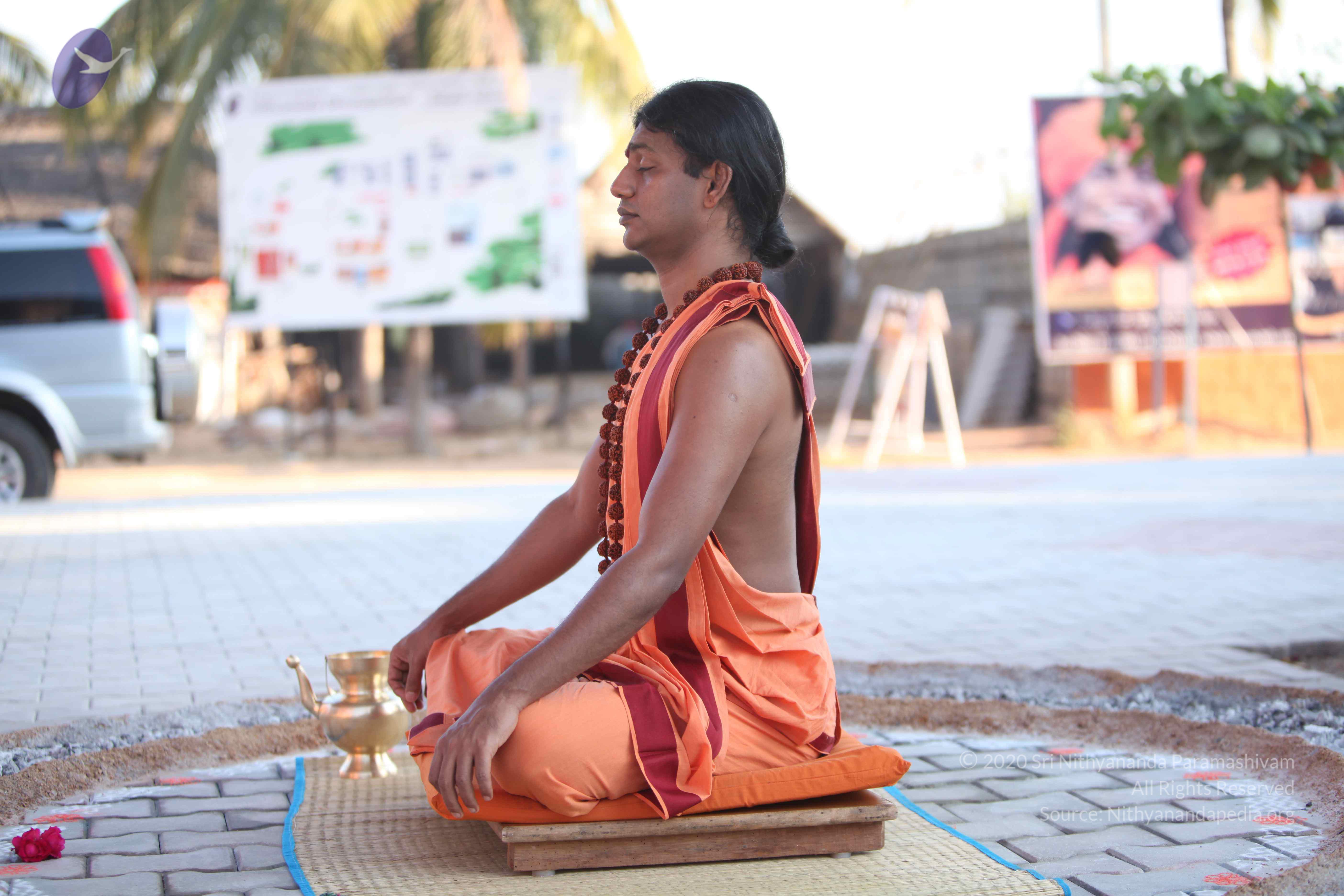 20110202_Photo_1137_IMG_3195_CMP_WM