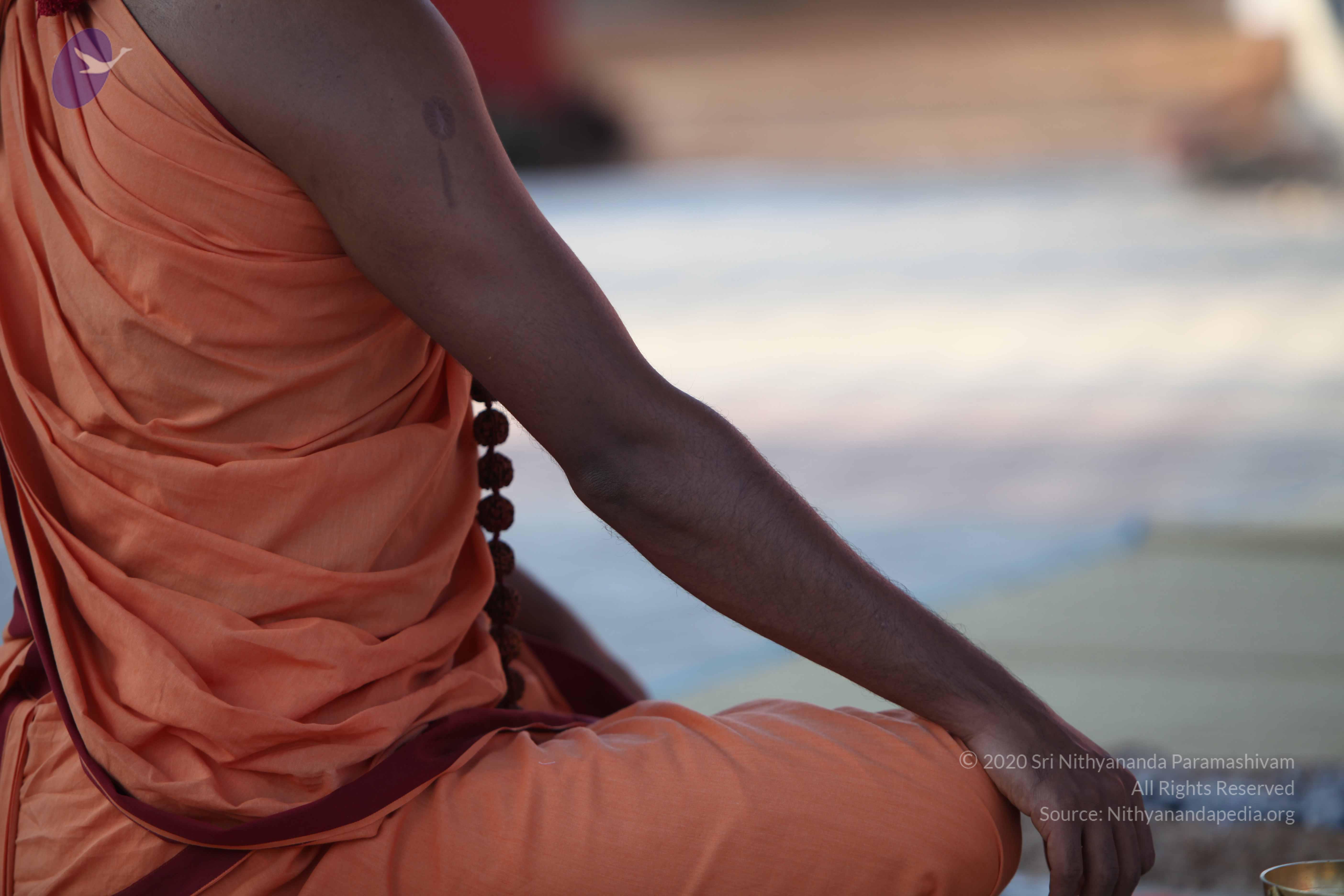 20110202_Photo_1143_IMG_3138_CMP_WM