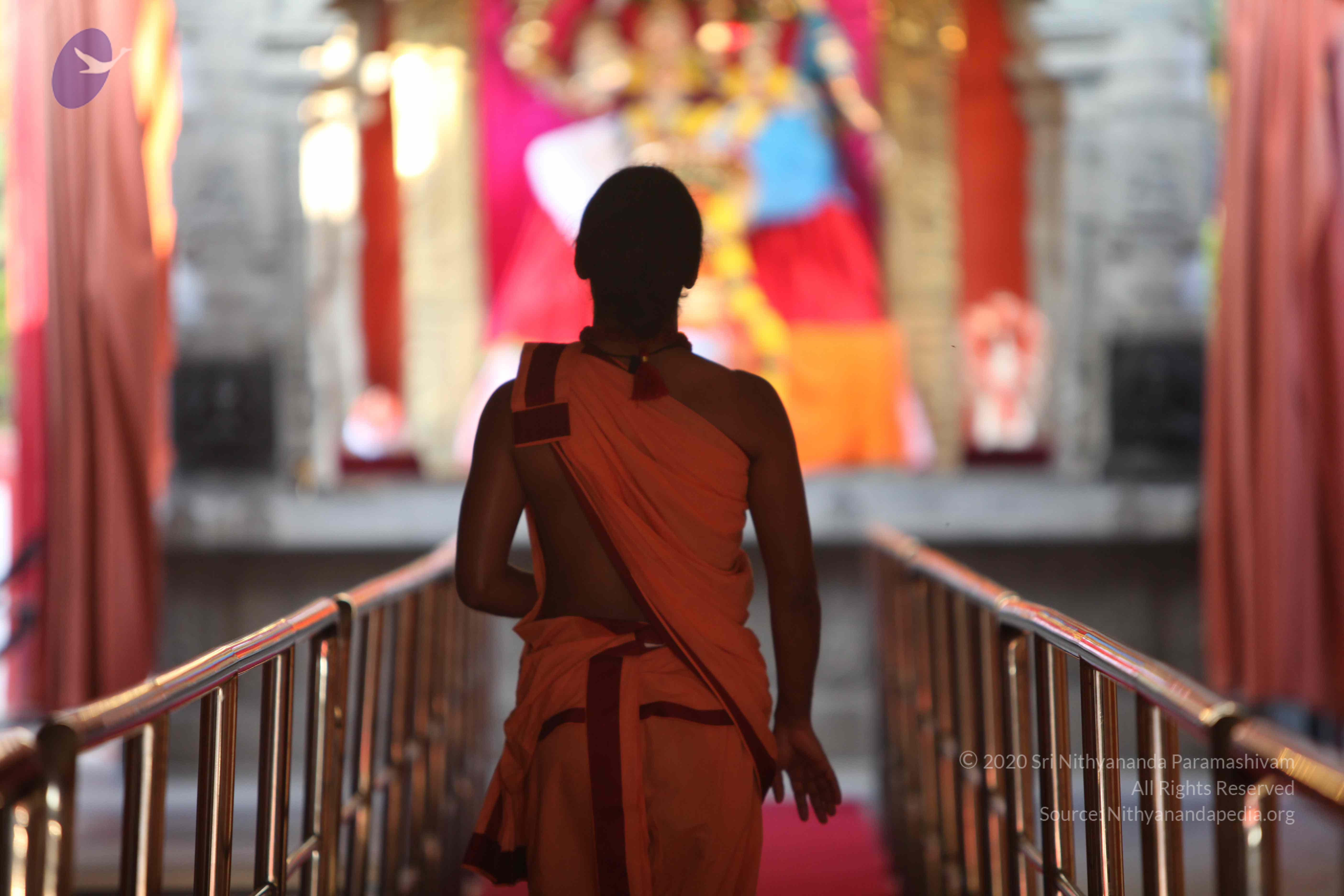 20110202_Photo_1145_IMG_3065_CMP_WM