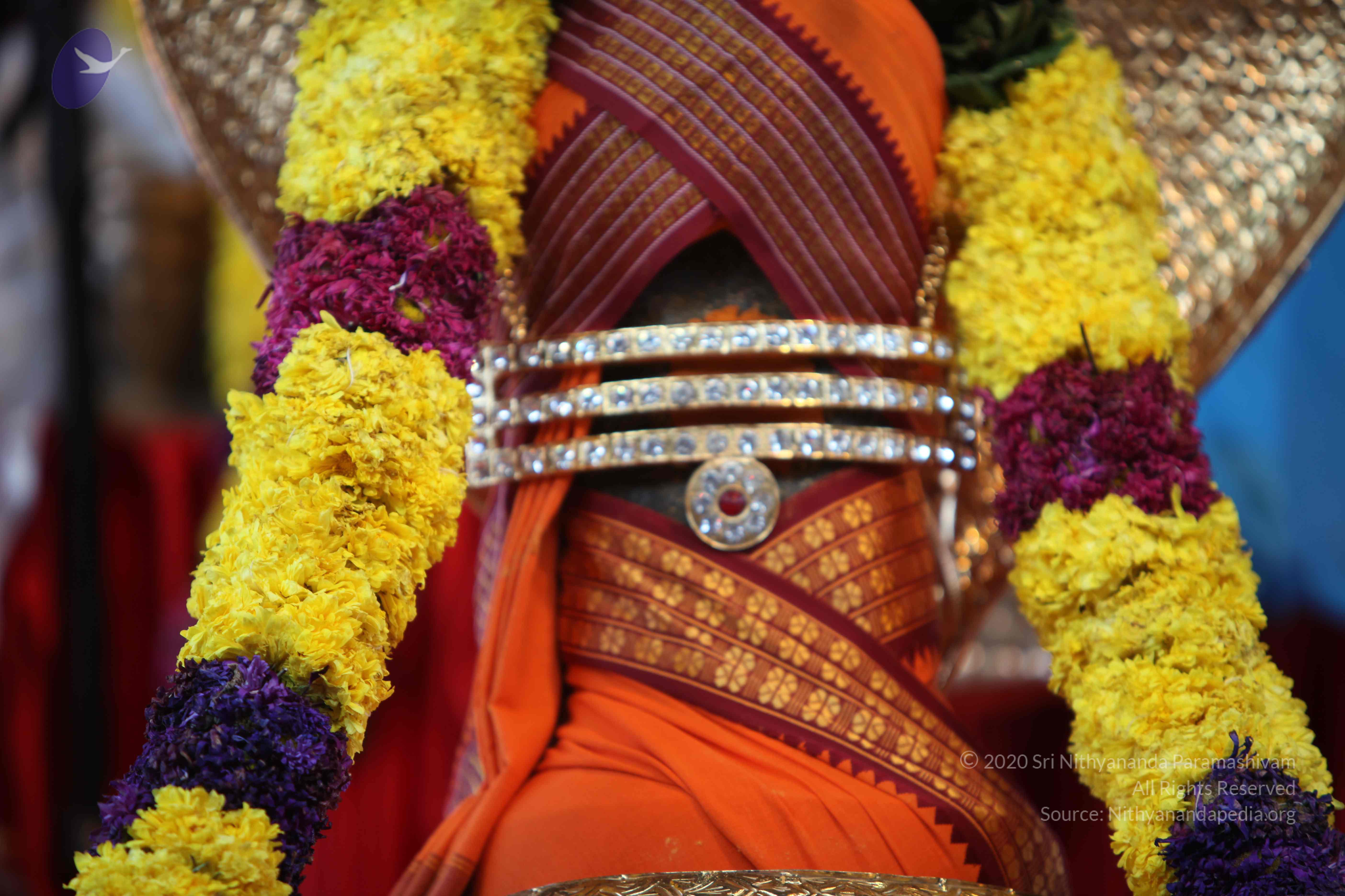 20110202_Photo_1149_IMG_3113_CMP_WM