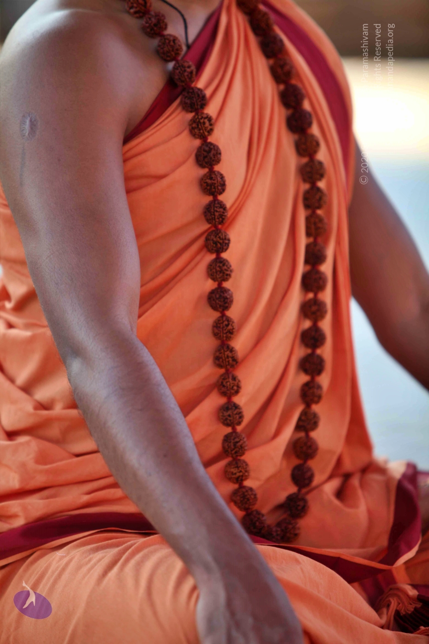 20110202_Photo_1153_IMG_3157_CMP_WM