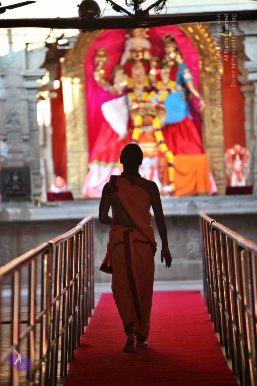 20110202_Photo_1160_IMG_3068_CMP_WM