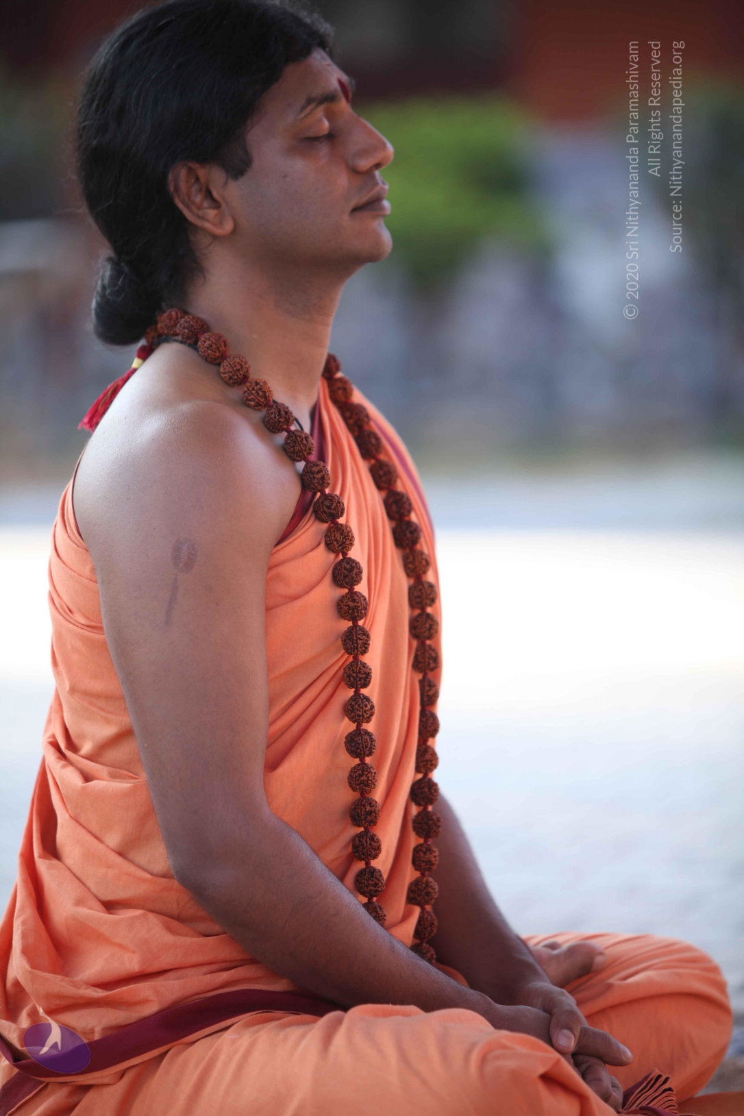 20110202_Photo_1161_IMG_3222_CMP_WM