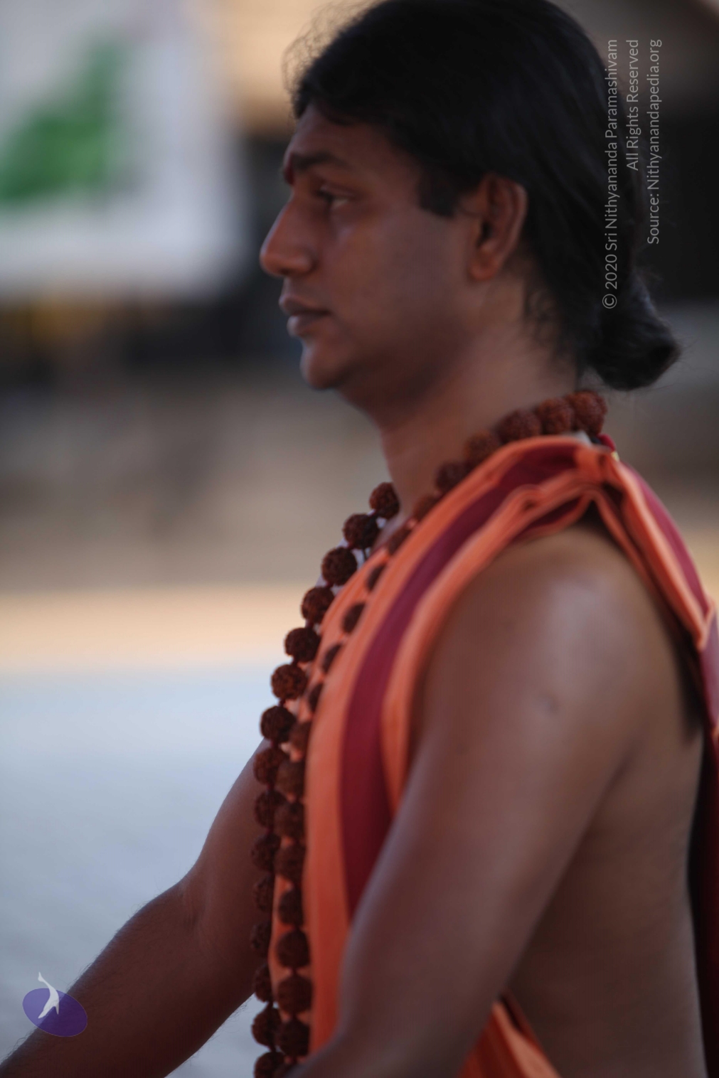 20110202_Photo_1162_IMG_3183_CMP_WM