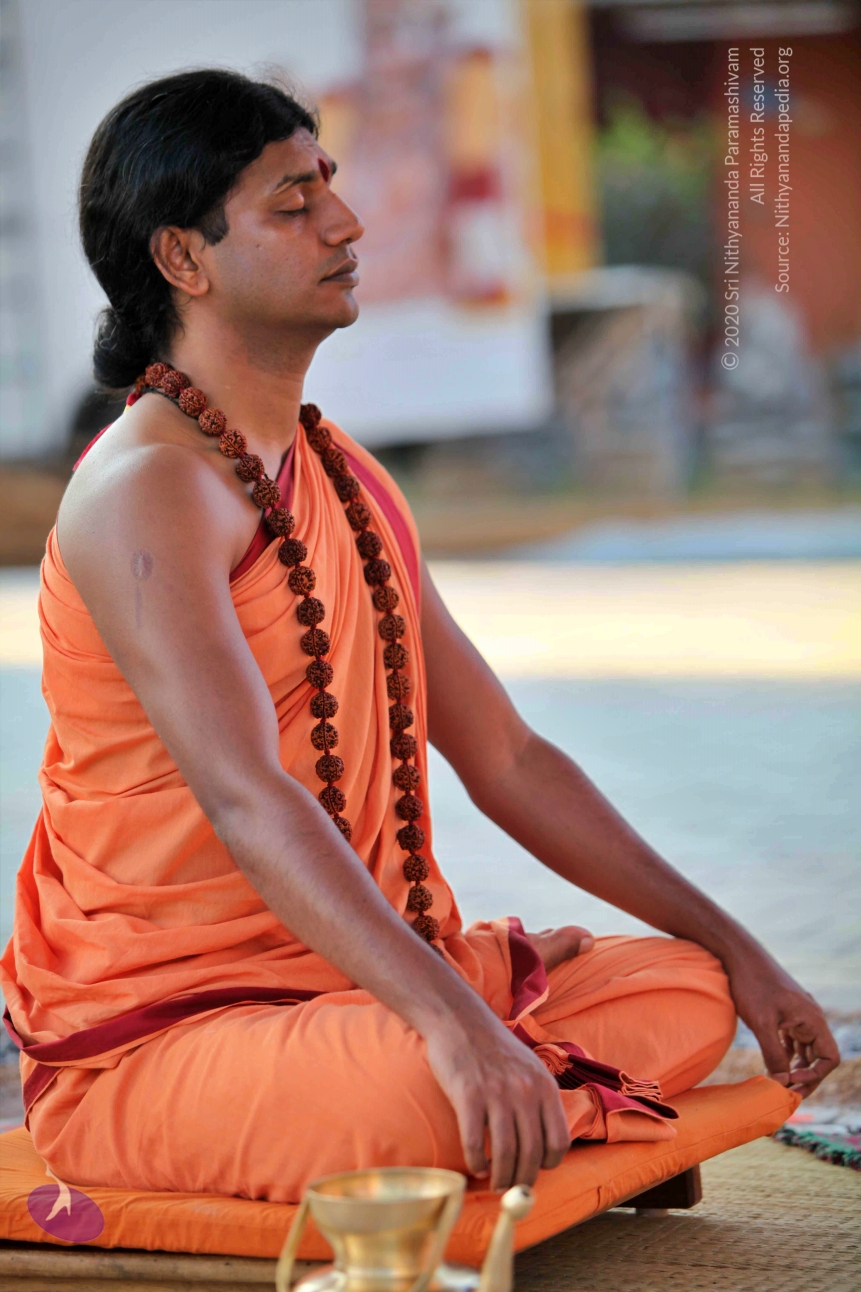 20110202_Photo_1165_IMG_3130_CMP_WM