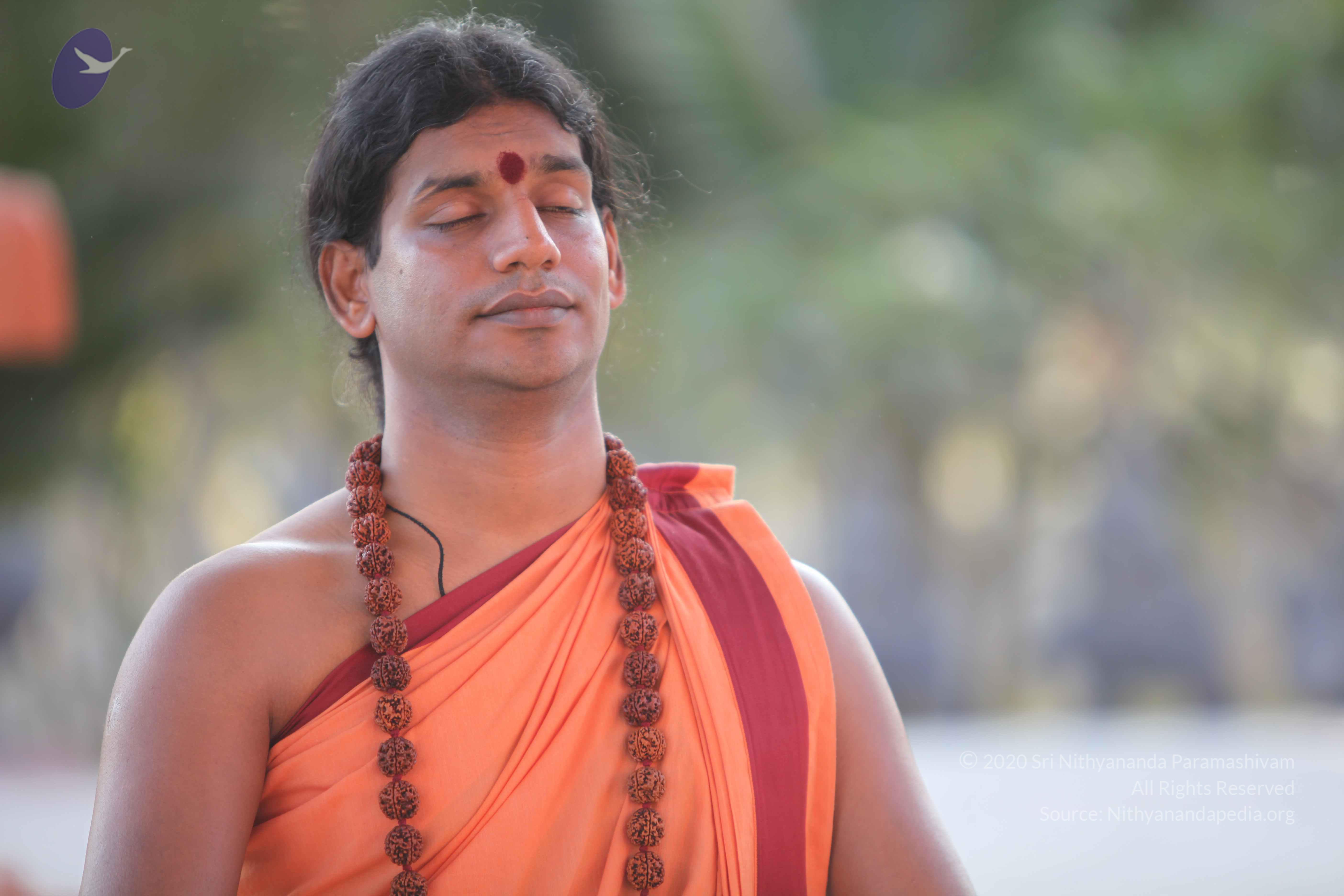 20110202_Photo_1168_IMG_3165_CMP_WM