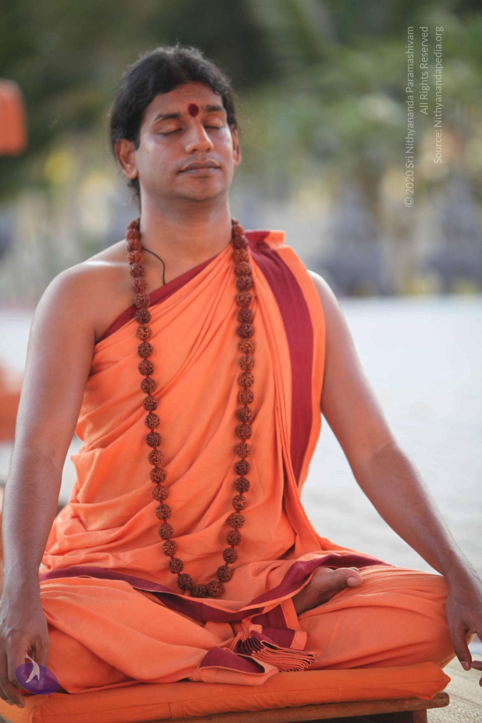 20110202_Photo_1179_IMG_3174_CMP_WM