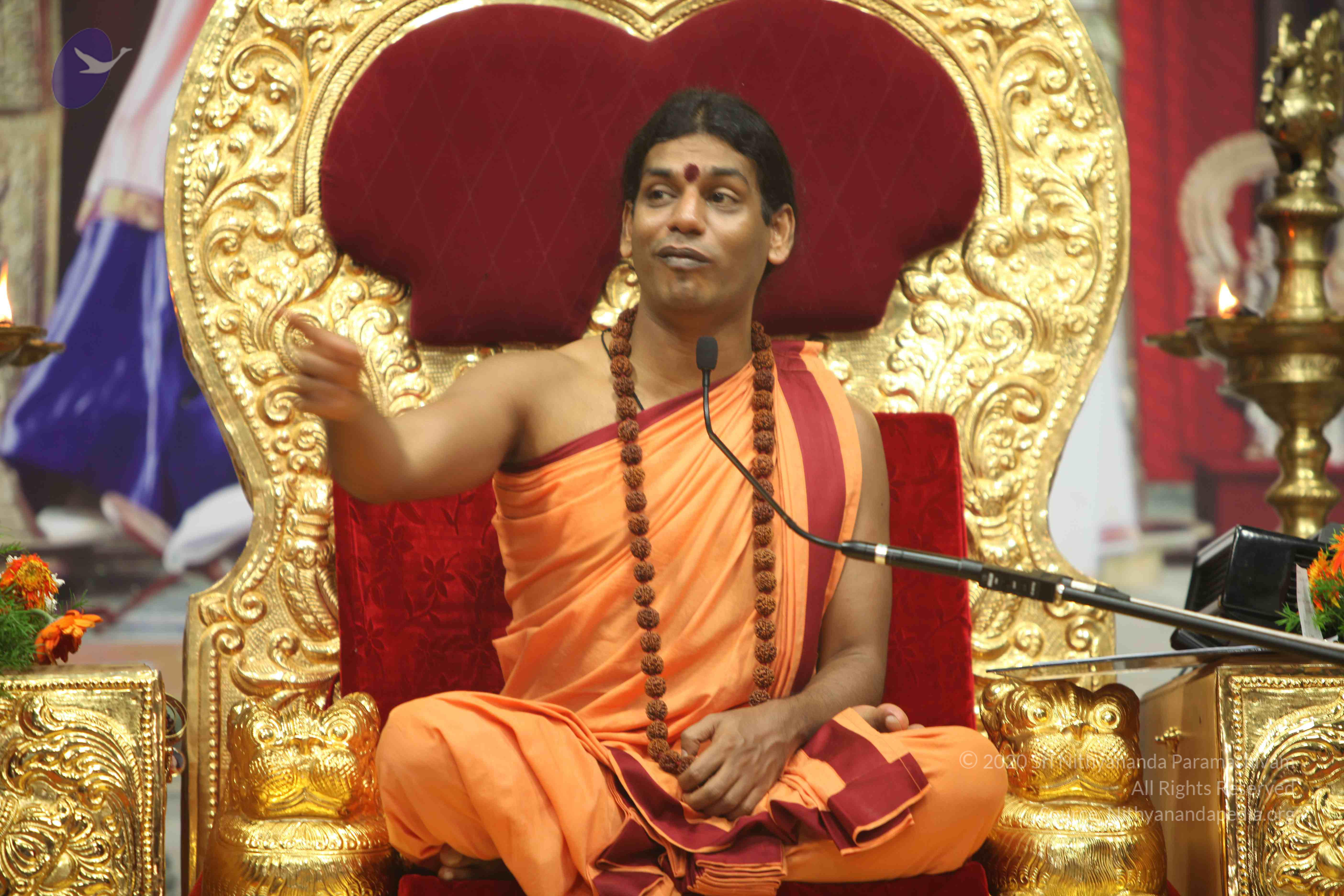 20110202_Photo_1037_IMG_3780_CMP_WM