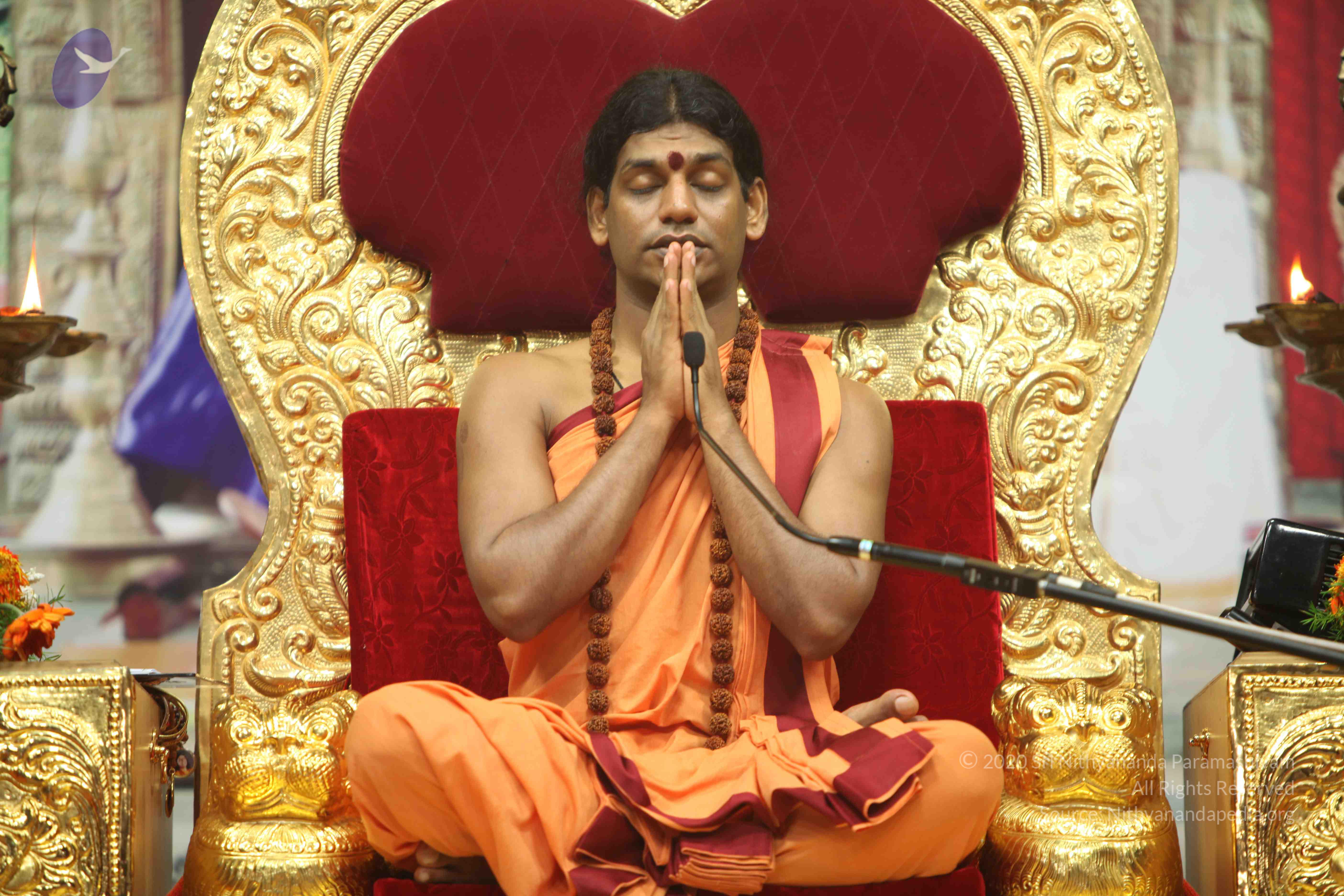 20110202_Photo_1115_IMG_3562_CMP_WM