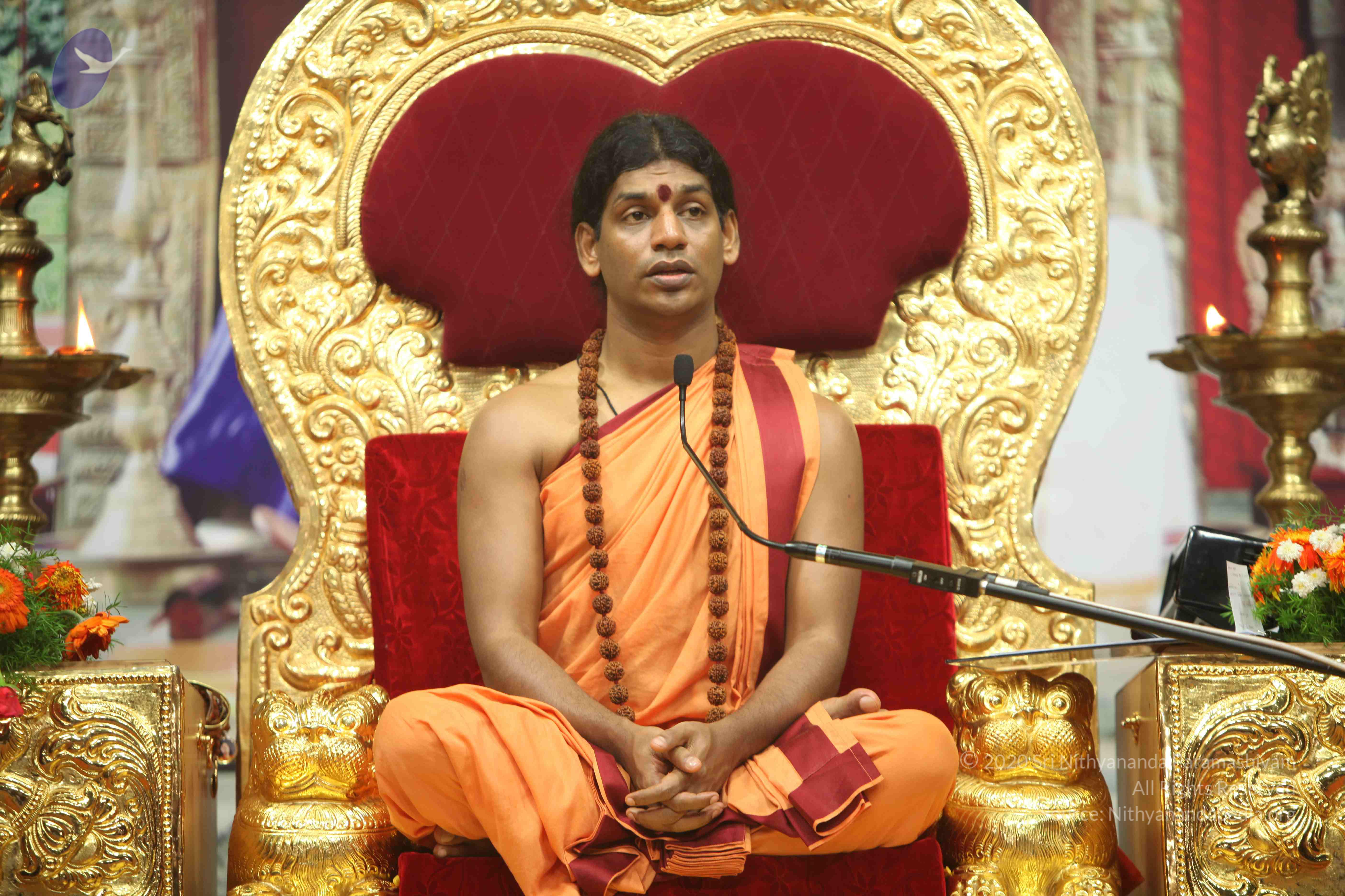 20110202_Photo_1162_IMG_3824_CMP_WM