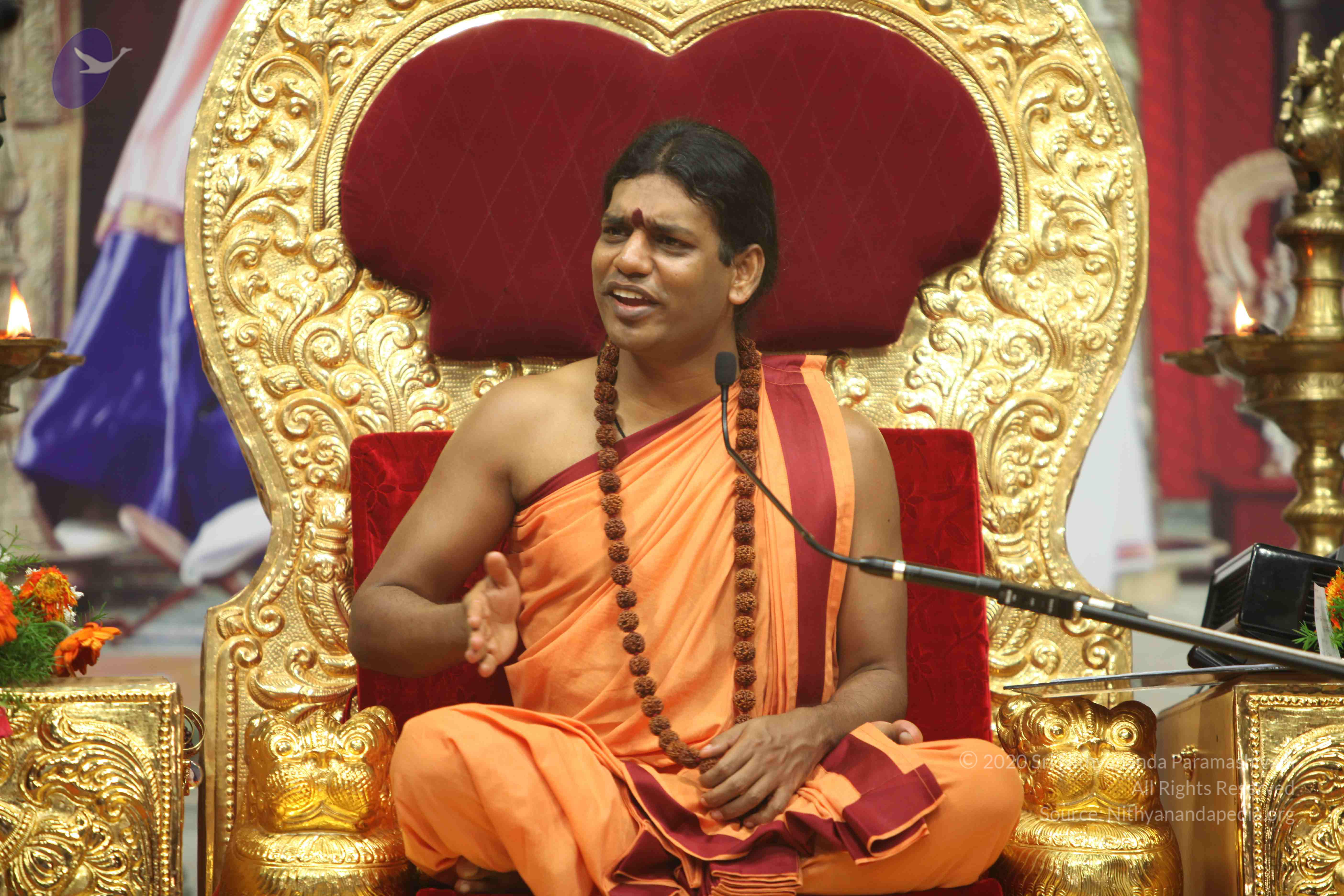 20110202_Photo_1295_IMG_3768_CMP_WM