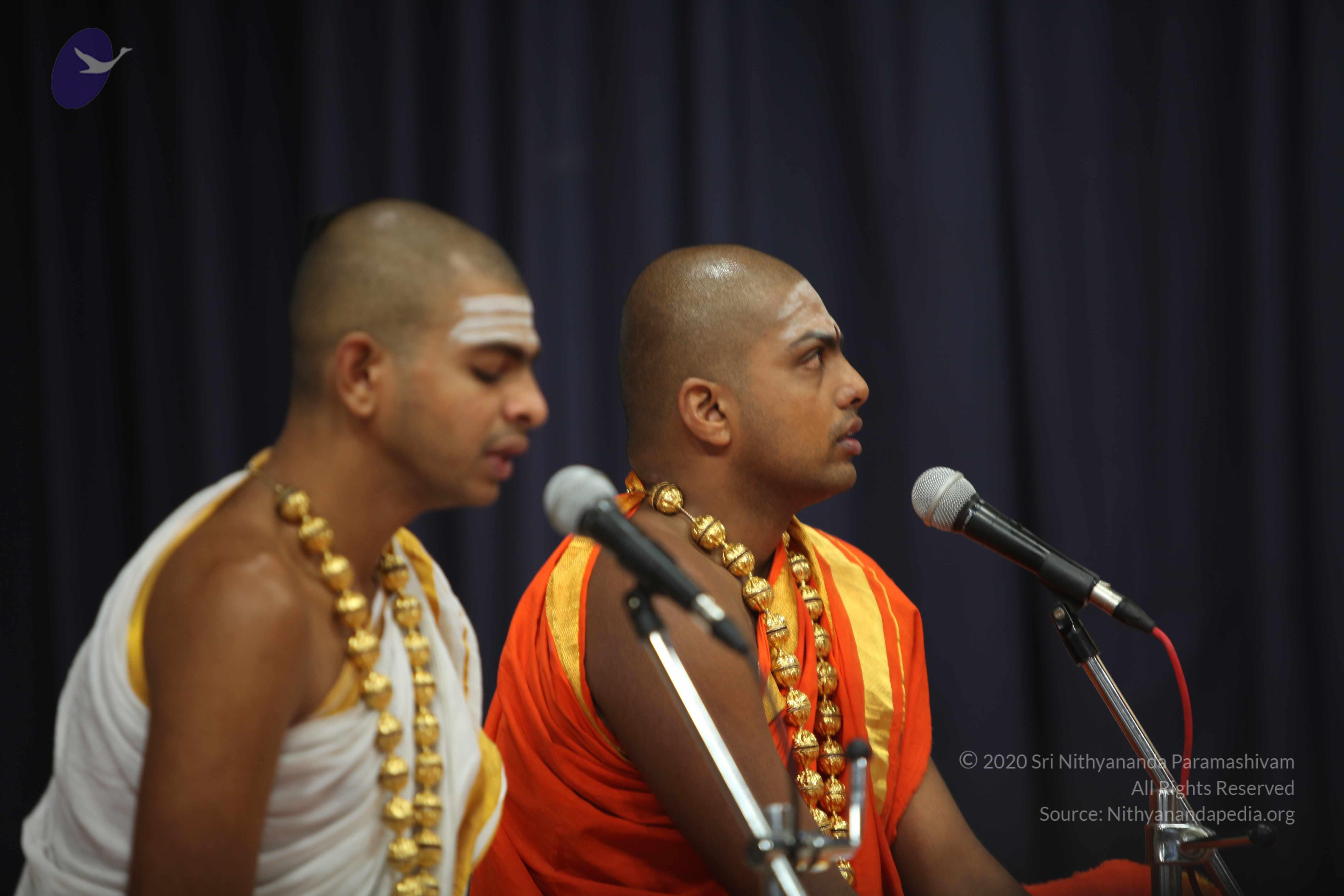 20110202_Photo_1008_IMG_3330_CMP_WM