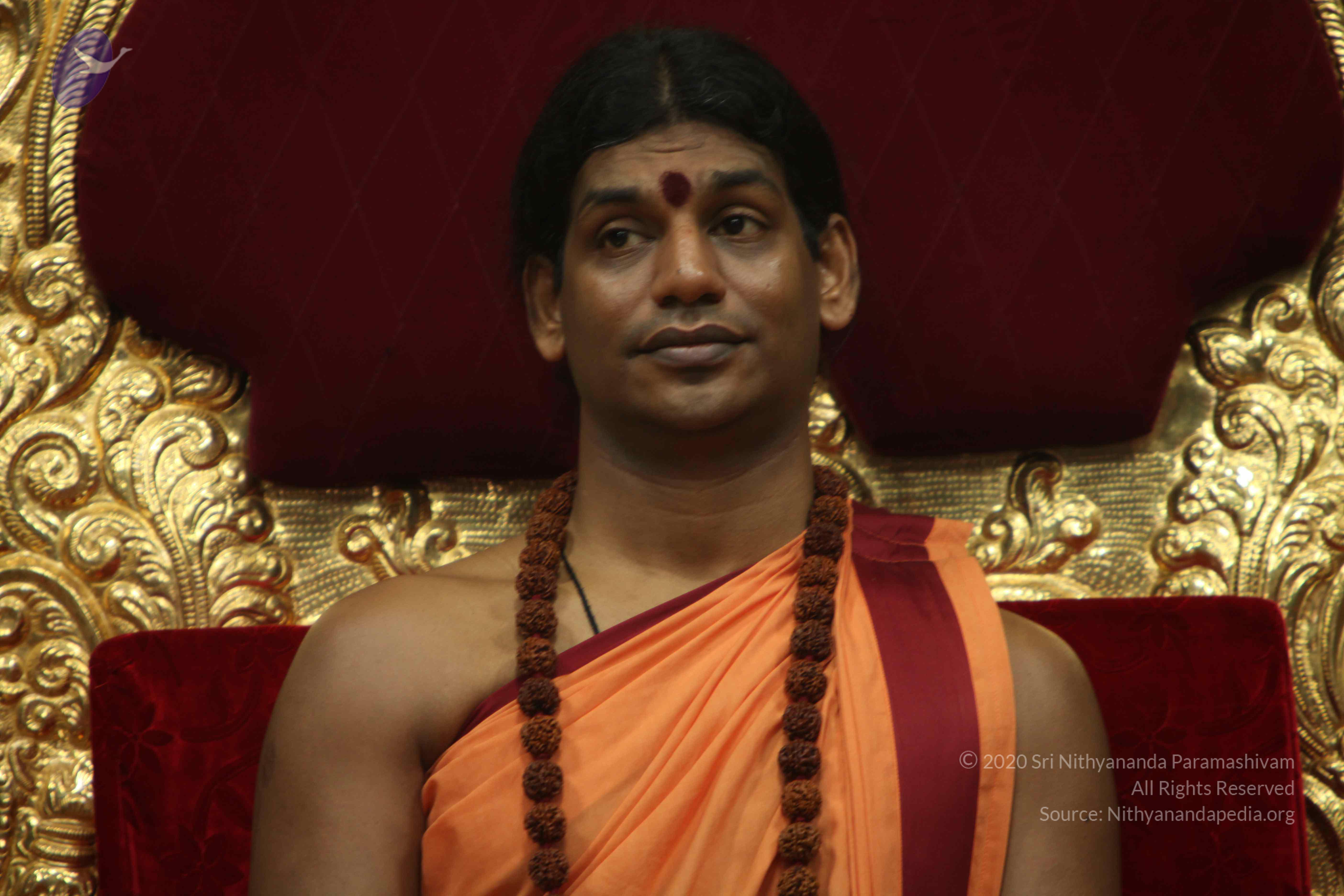 20110202_Photo_1035_IMG_3392_CMP_WM