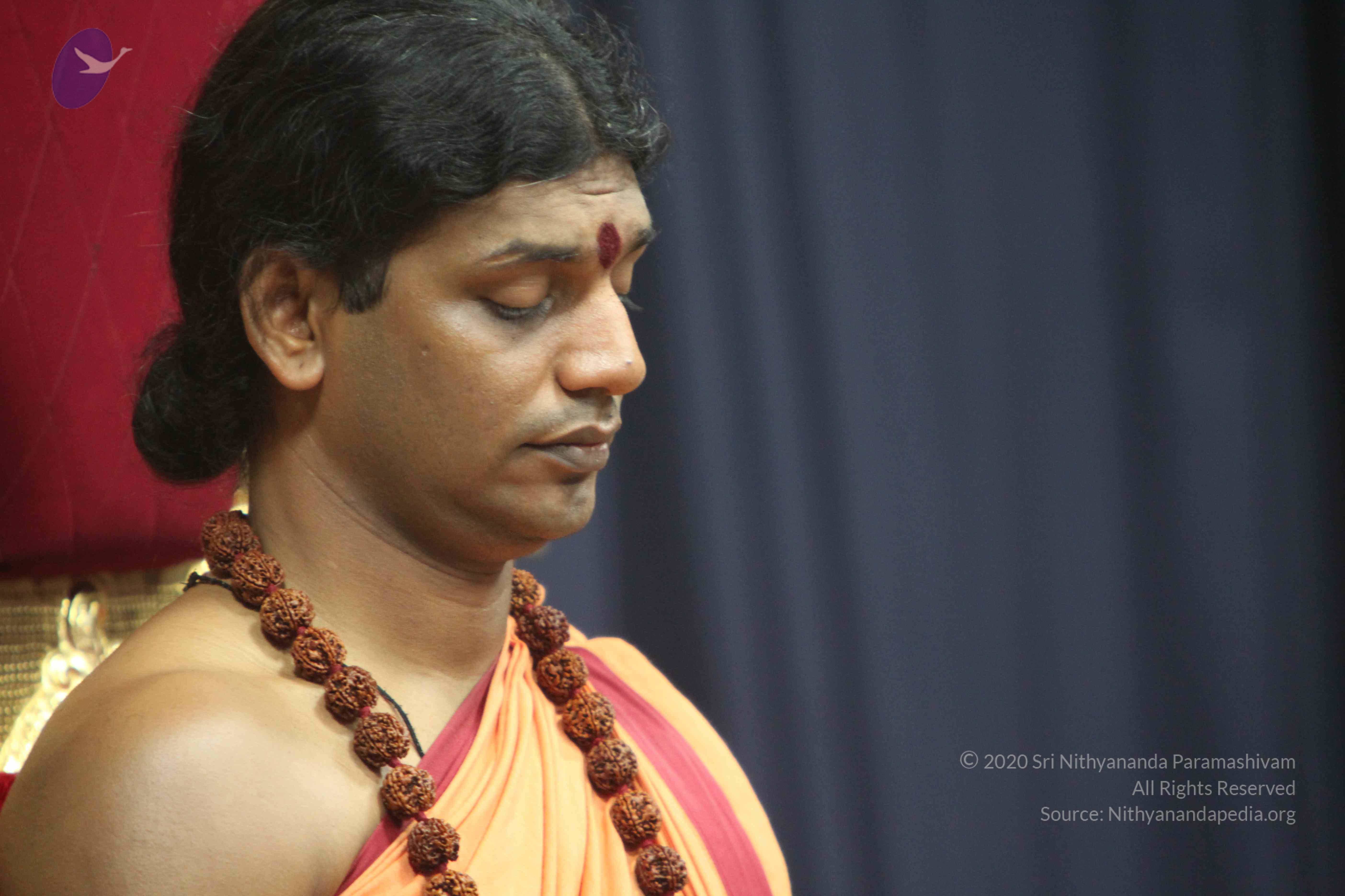 20110202_Photo_1062_IMG_3429_CMP_WM